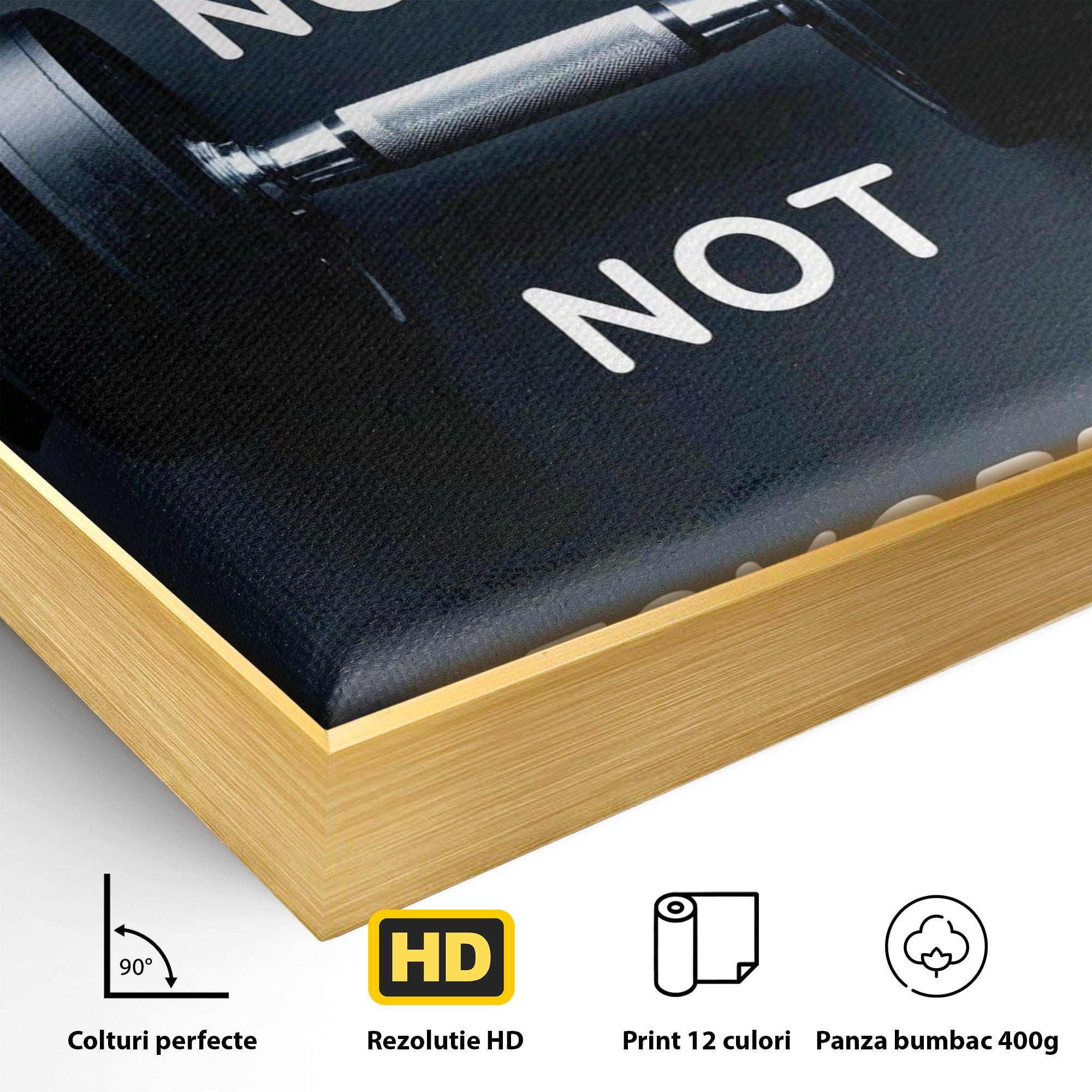 Tablou Canvas Premium LuxCanva® PI1302, Ganteră Motivațională, Fitness, Motivatie, Sport, Citat, Birou, Dormitor, Culori Vibrante