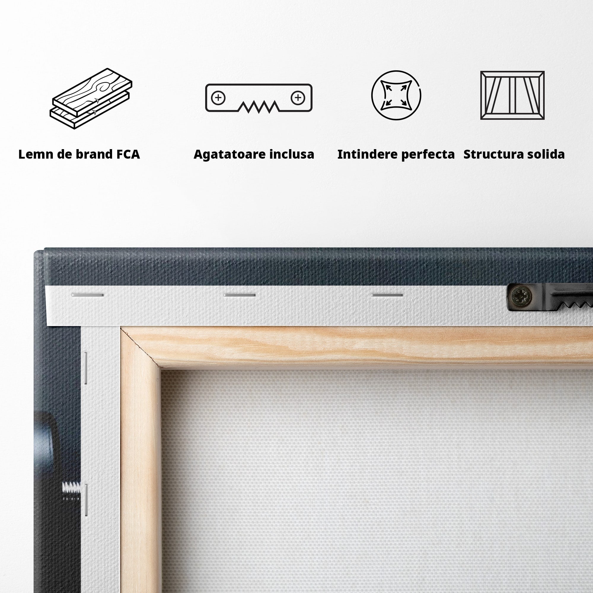 Tablou Canvas Premium LuxCanva® PI1302, Ganteră Motivațională, Fitness, Motivatie, Sport, Citat, Birou, Dormitor, Culori Vibrante
