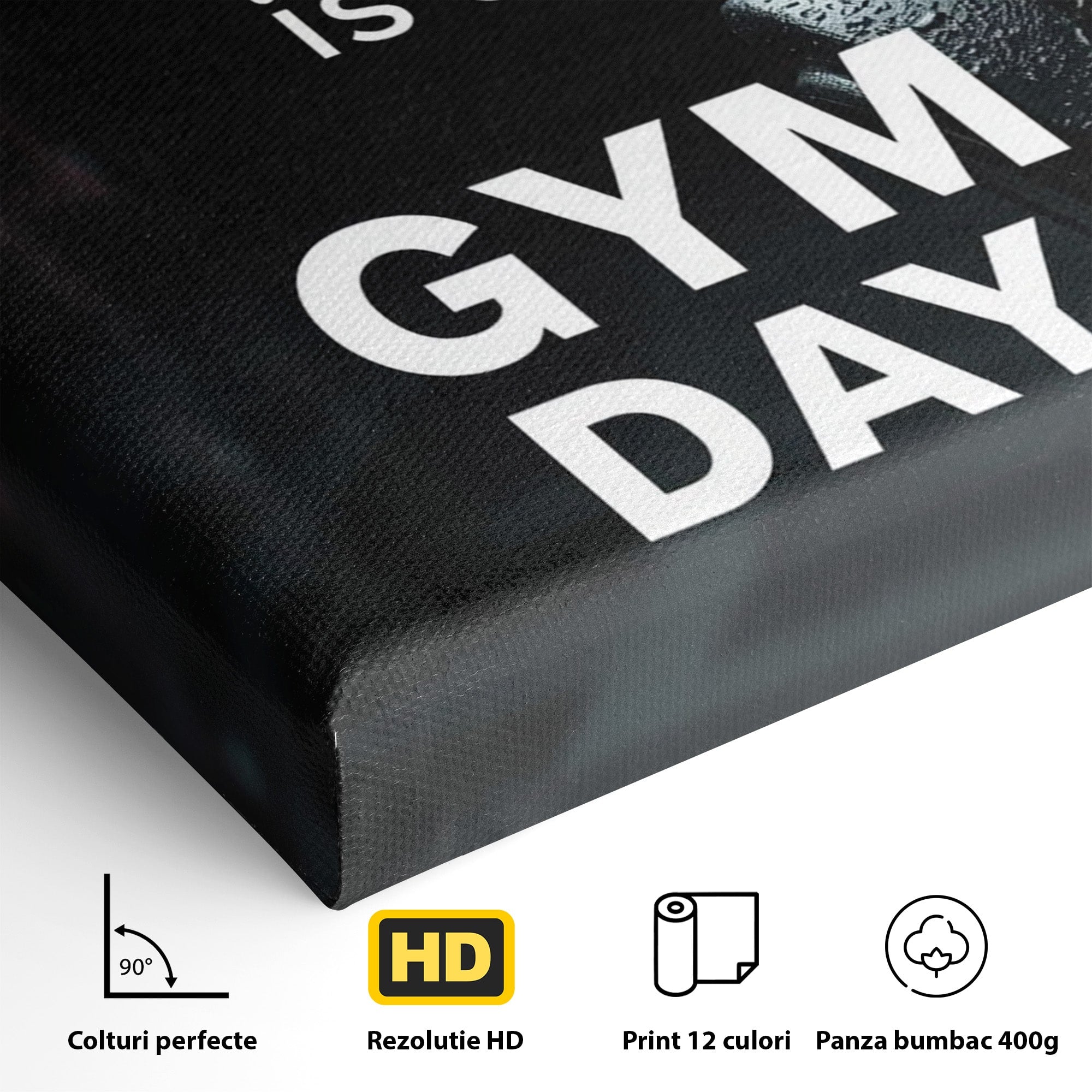 Tablou Canvas Premium LuxCanva® PI1303, Motivatie Fitness, Energie, Motivatie, Antrenament, Sala, Birou, Sport, Culori Vibrante