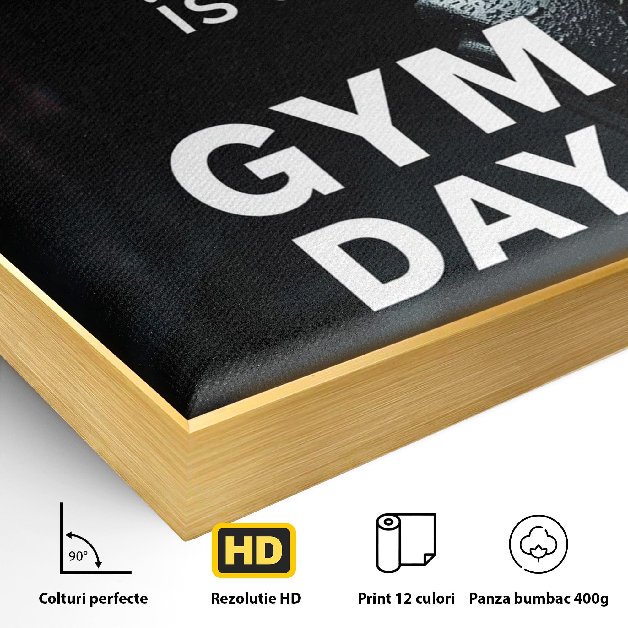 Tablou Canvas Premium LuxCanva® PI1303, Motivatie Fitness, Energie, Motivatie, Antrenament, Sala, Birou, Sport, Culori Vibrante