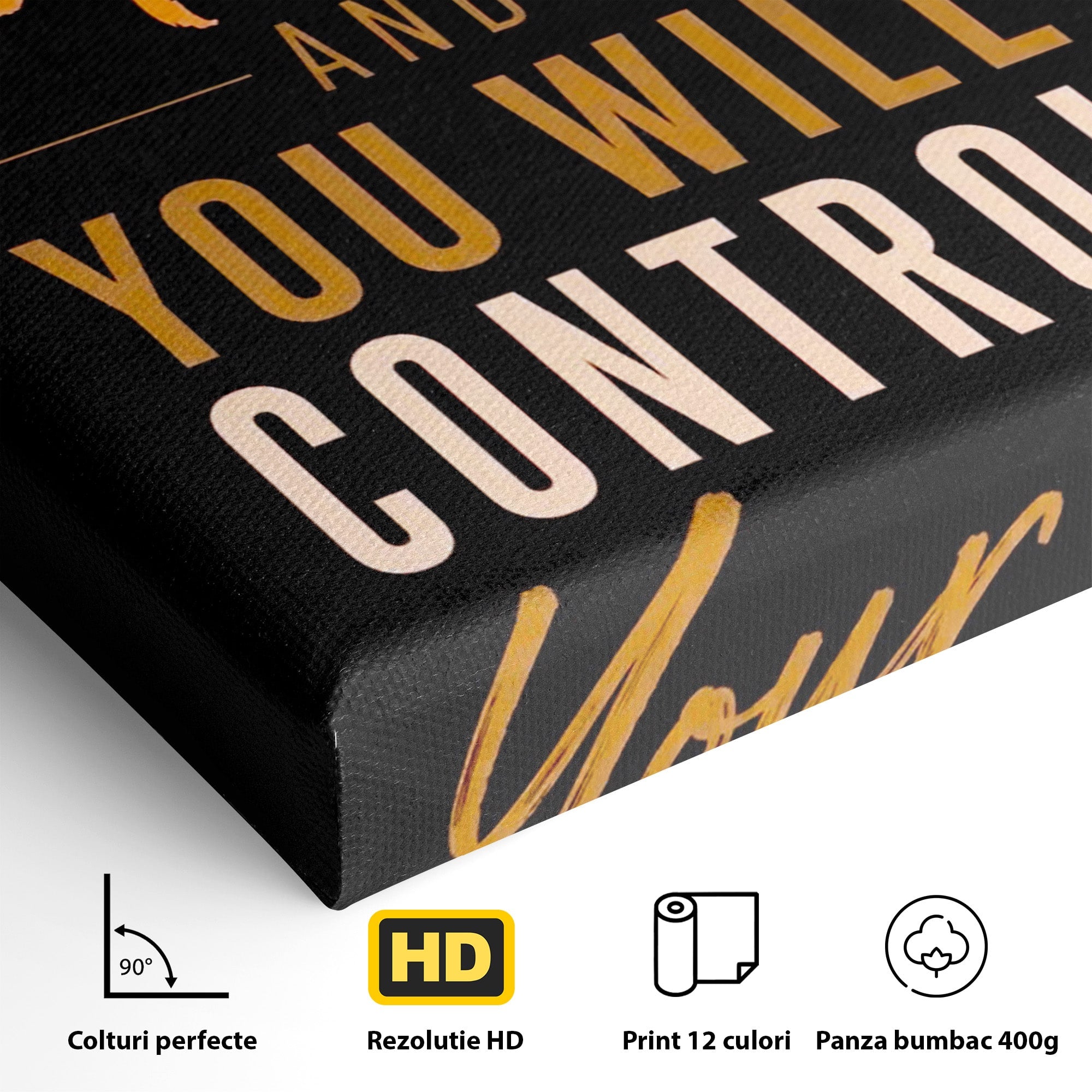 Tablou Canvas Premium LuxCanva® PI1305, Controlul Mintii, Motivational, Citat, Inspirational, Birou, Dormitor, Culori Vibrante