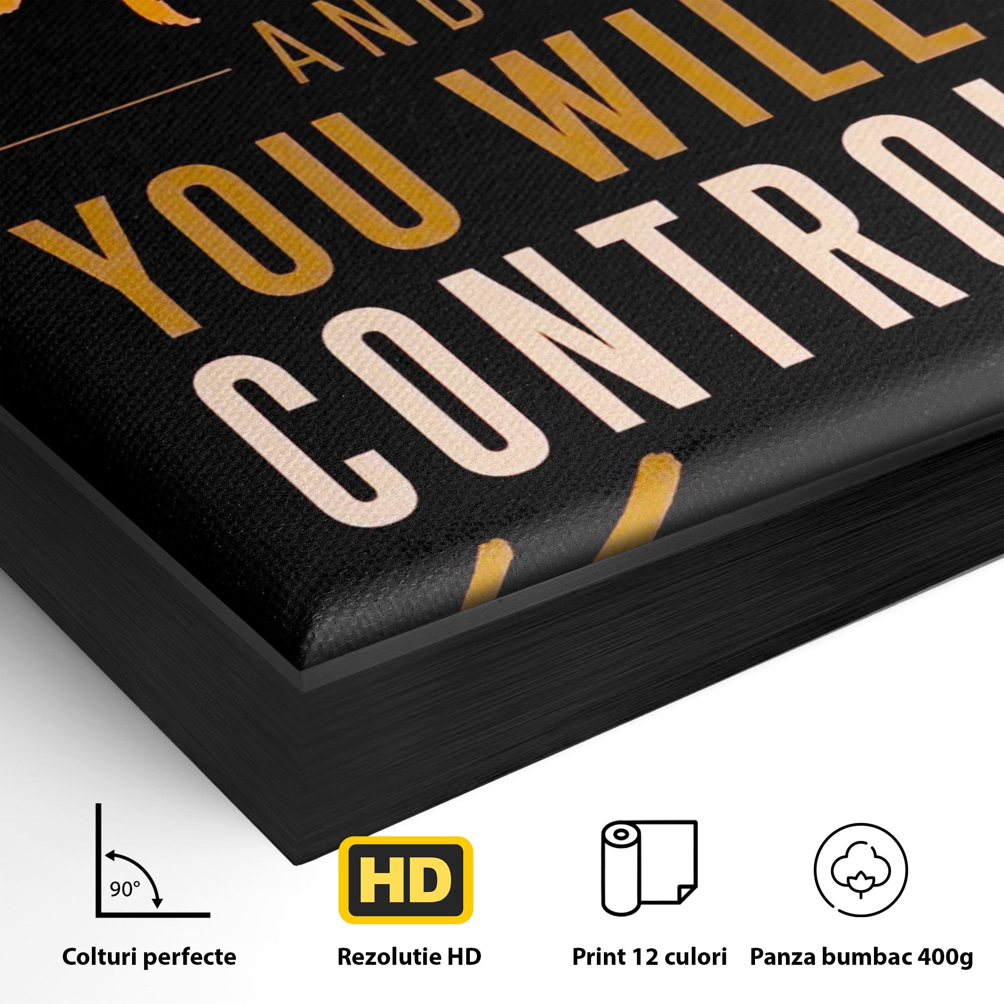 Tablou Canvas Premium LuxCanva® PI1305, Controlul Mintii, Motivational, Citat, Inspirational, Birou, Dormitor, Culori Vibrante