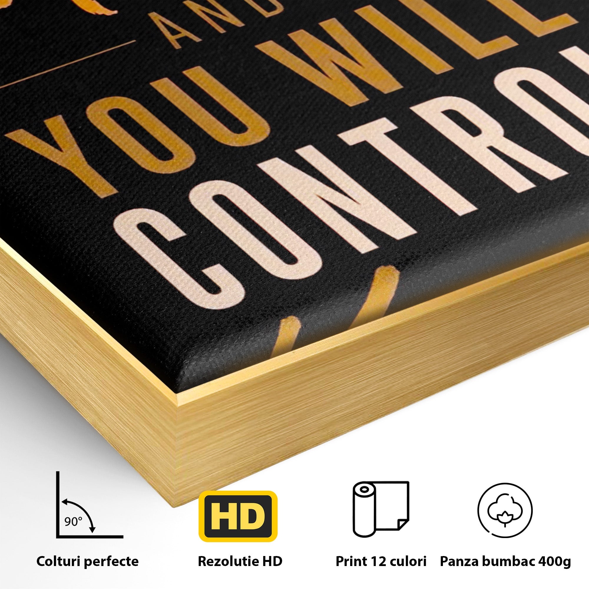 Tablou Canvas Premium LuxCanva® PI1305, Controlul Mintii, Motivational, Citat, Inspirational, Birou, Dormitor, Culori Vibrante