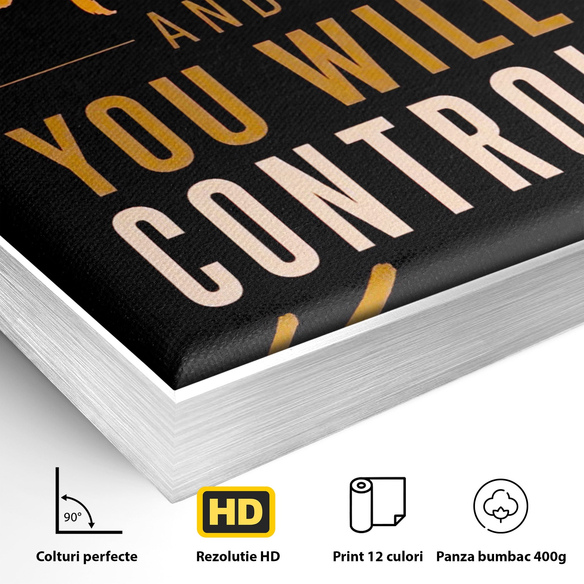 Tablou Canvas Premium LuxCanva® PI1305, Controlul Mintii, Motivational, Citat, Inspirational, Birou, Dormitor, Culori Vibrante