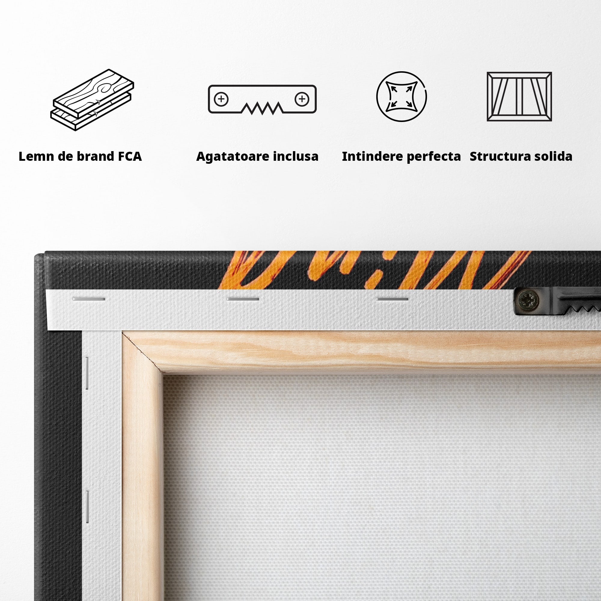Tablou Canvas Premium LuxCanva® PI1305, Controlul Mintii, Motivational, Citat, Inspirational, Birou, Dormitor, Culori Vibrante