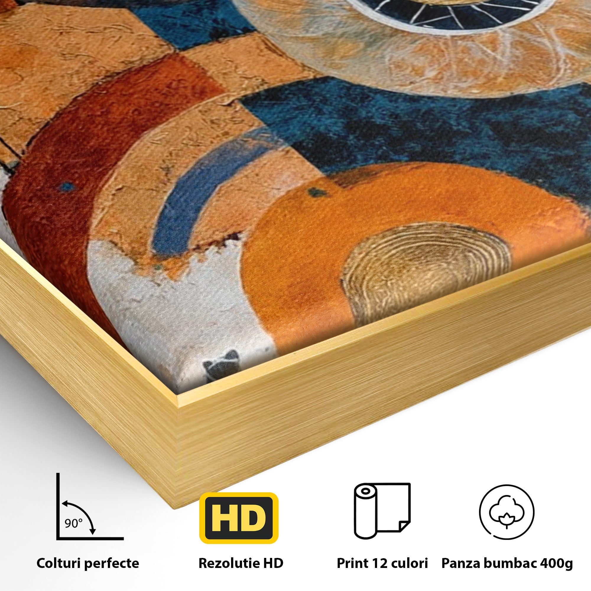 Tablou Canvas Premium LuxCanva® PI1308, Geometrie Circulara, Abstract, Cercuri, Modern, Birou, Living, Culori Vibrante
