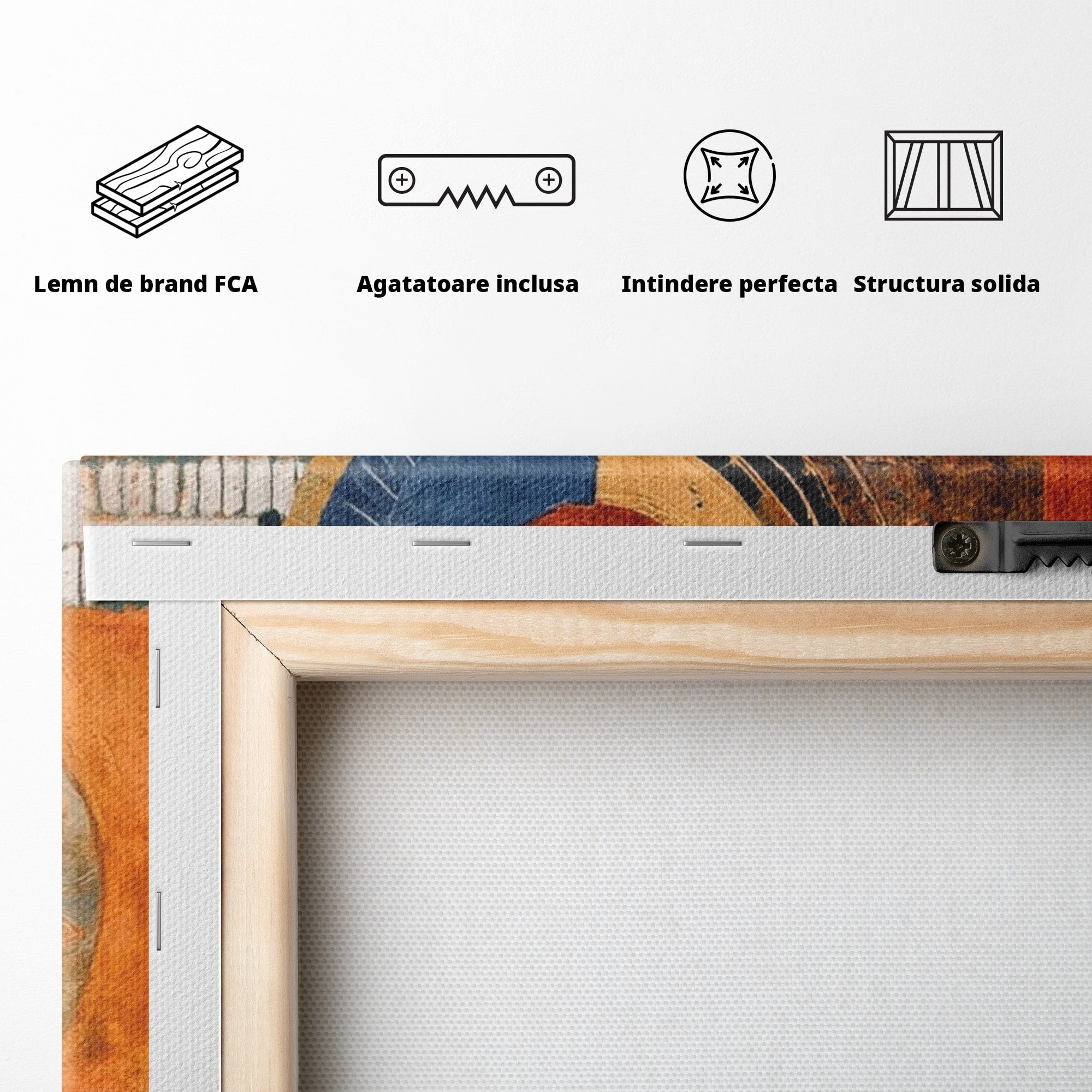Tablou Canvas Premium LuxCanva® PI1308, Geometrie Circulara, Abstract, Cercuri, Modern, Birou, Living, Culori Vibrante