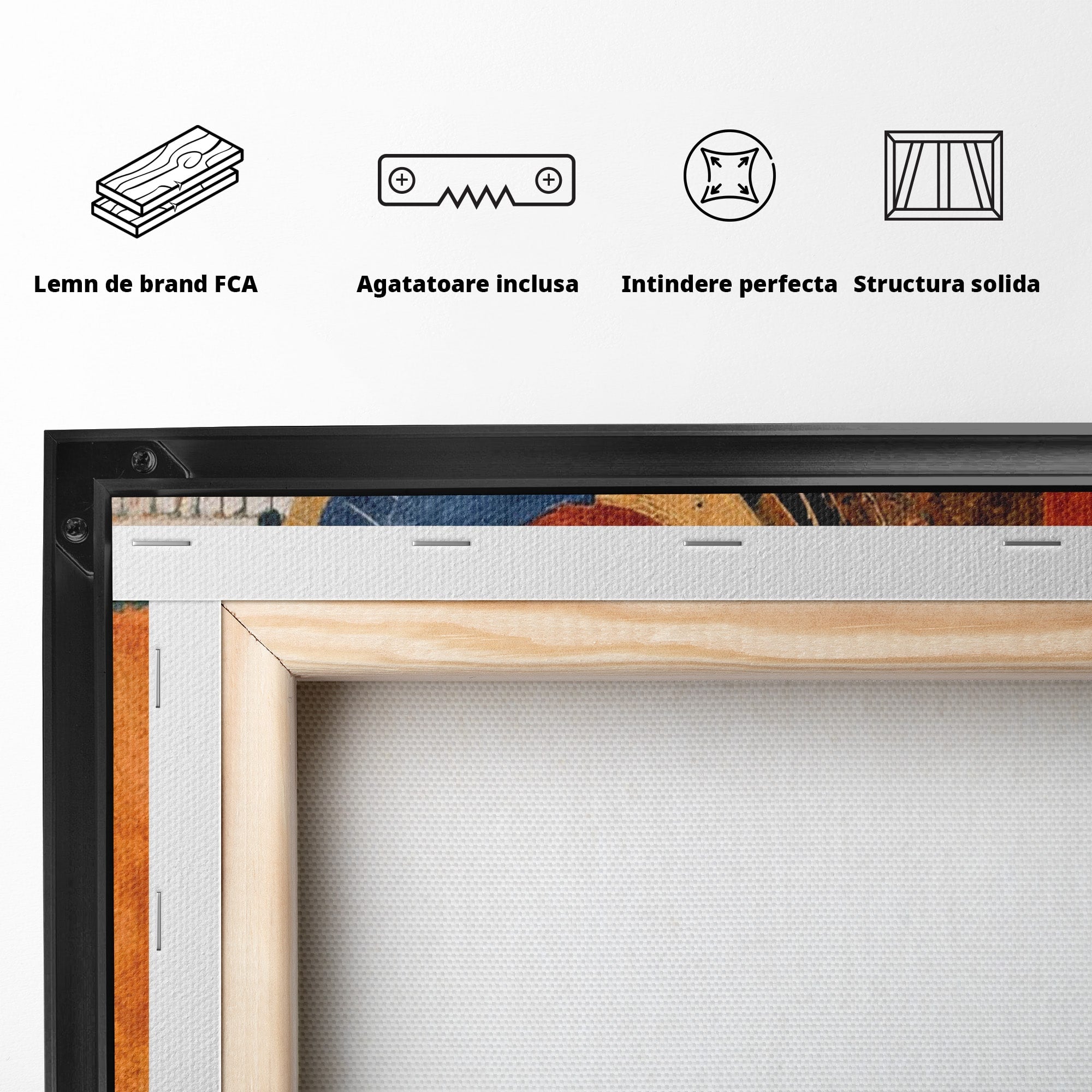 Tablou Canvas Premium LuxCanva® PI1308, Geometrie Circulara, Abstract, Cercuri, Modern, Birou, Living, Culori Vibrante