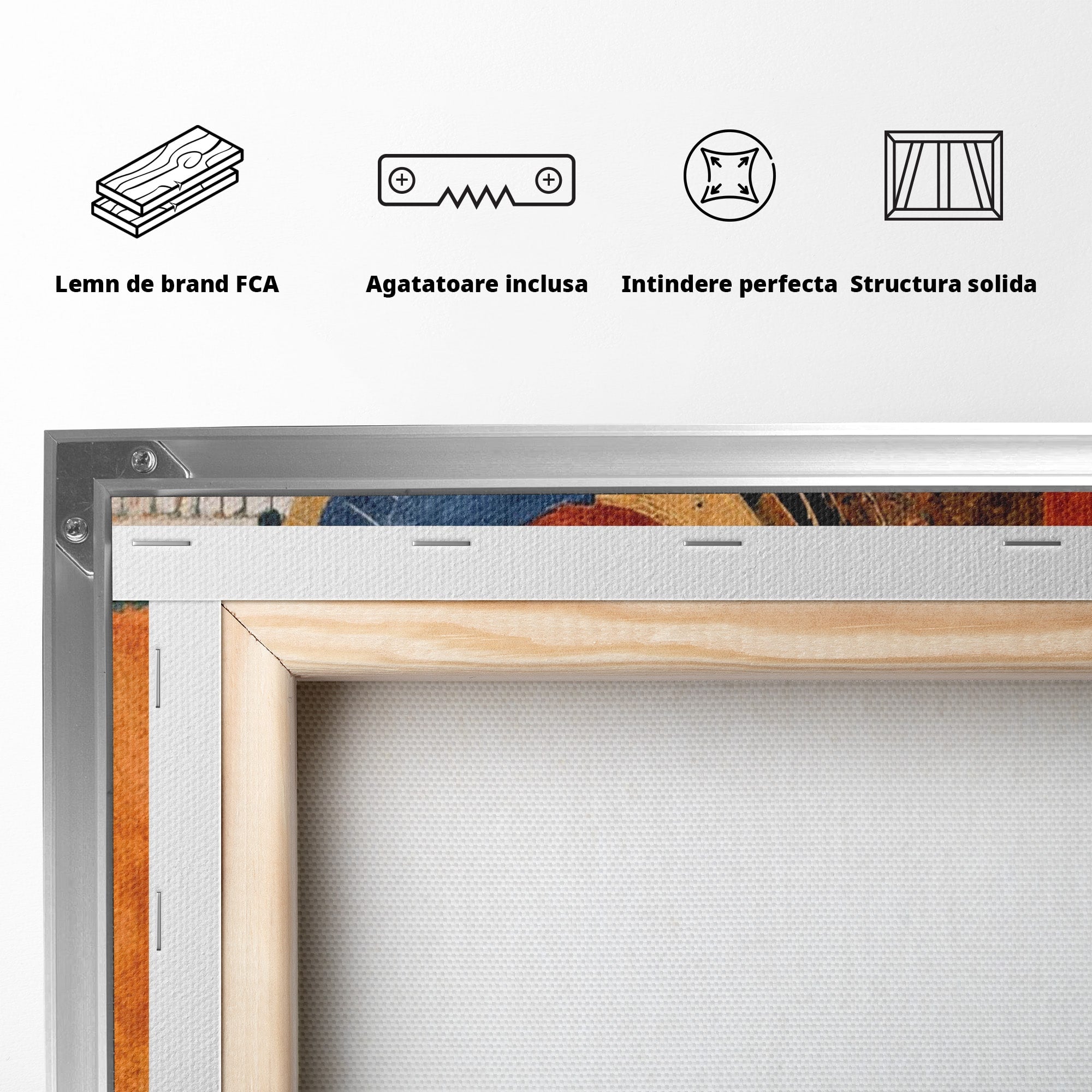 Tablou Canvas Premium LuxCanva® PI1308, Geometrie Circulara, Abstract, Cercuri, Modern, Birou, Living, Culori Vibrante