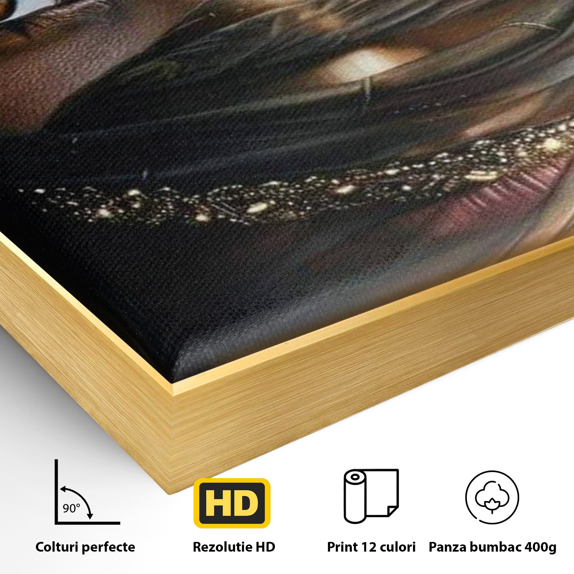 Tablou Canvas Premium LuxCanva® PI1319, Ochii Care Povestesc, Portret, Femeie, Mister, Privire, Culori Vibrante, Living, Dormitor