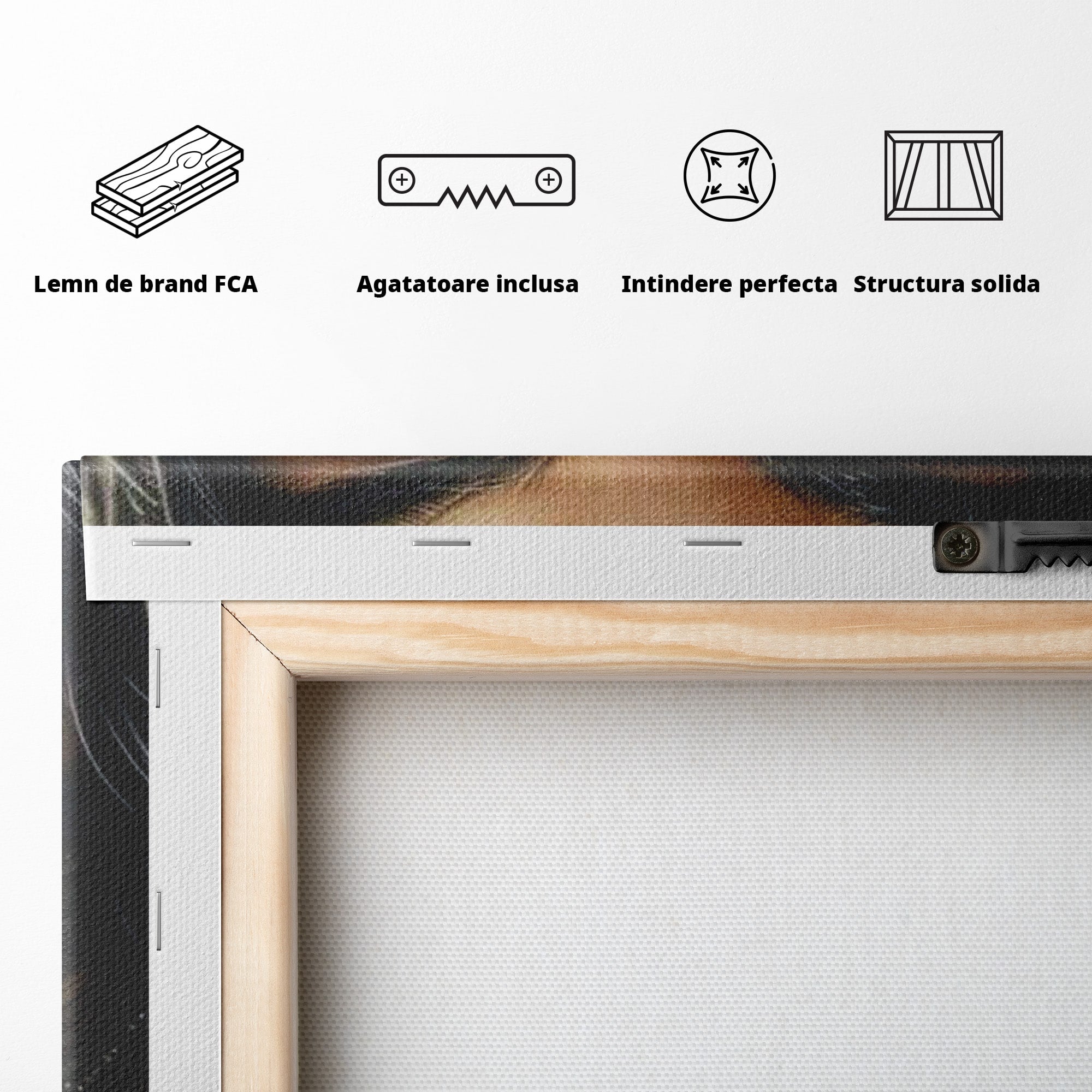 Tablou Canvas Premium LuxCanva® PI1319, Ochii Care Povestesc, Portret, Femeie, Mister, Privire, Culori Vibrante, Living, Dormitor