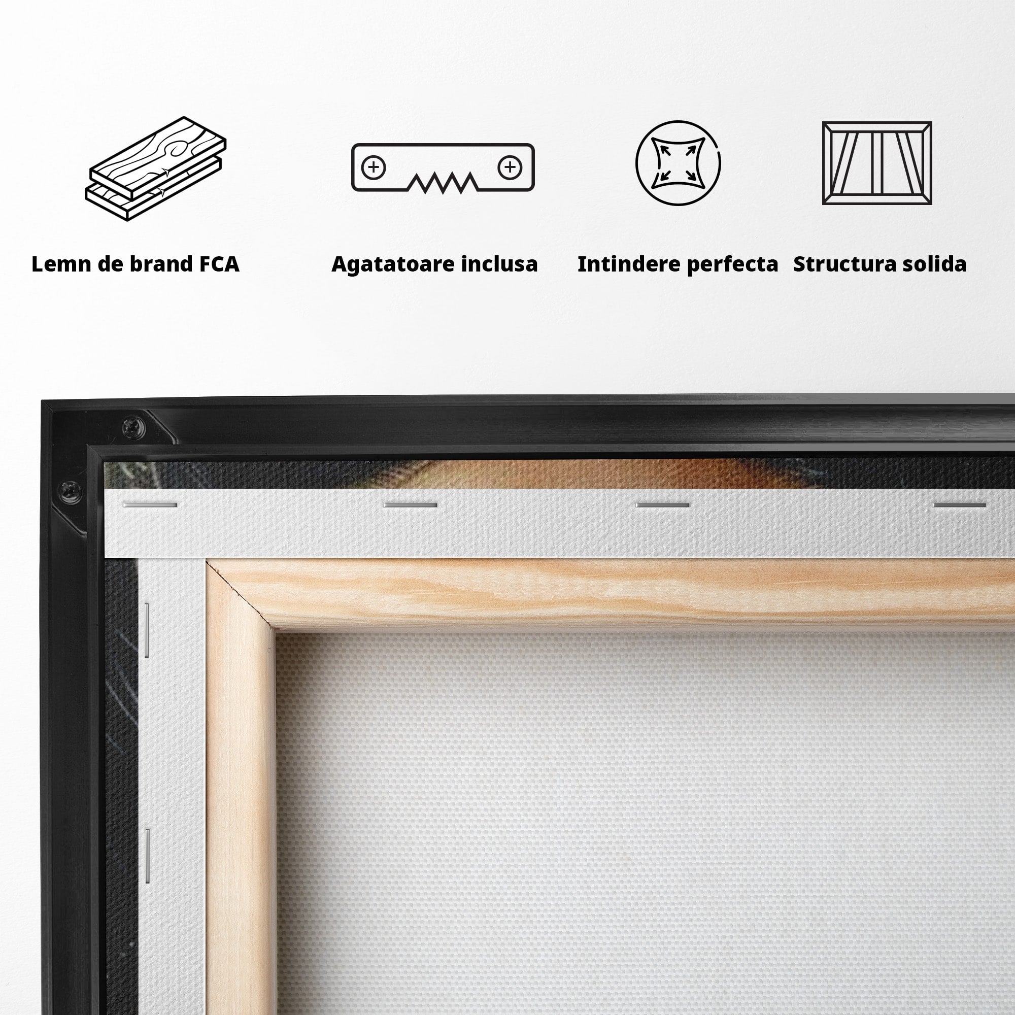 Tablou Canvas Premium LuxCanva® PI1319, Ochii Care Povestesc, Portret, Femeie, Mister, Privire, Culori Vibrante, Living, Dormitor