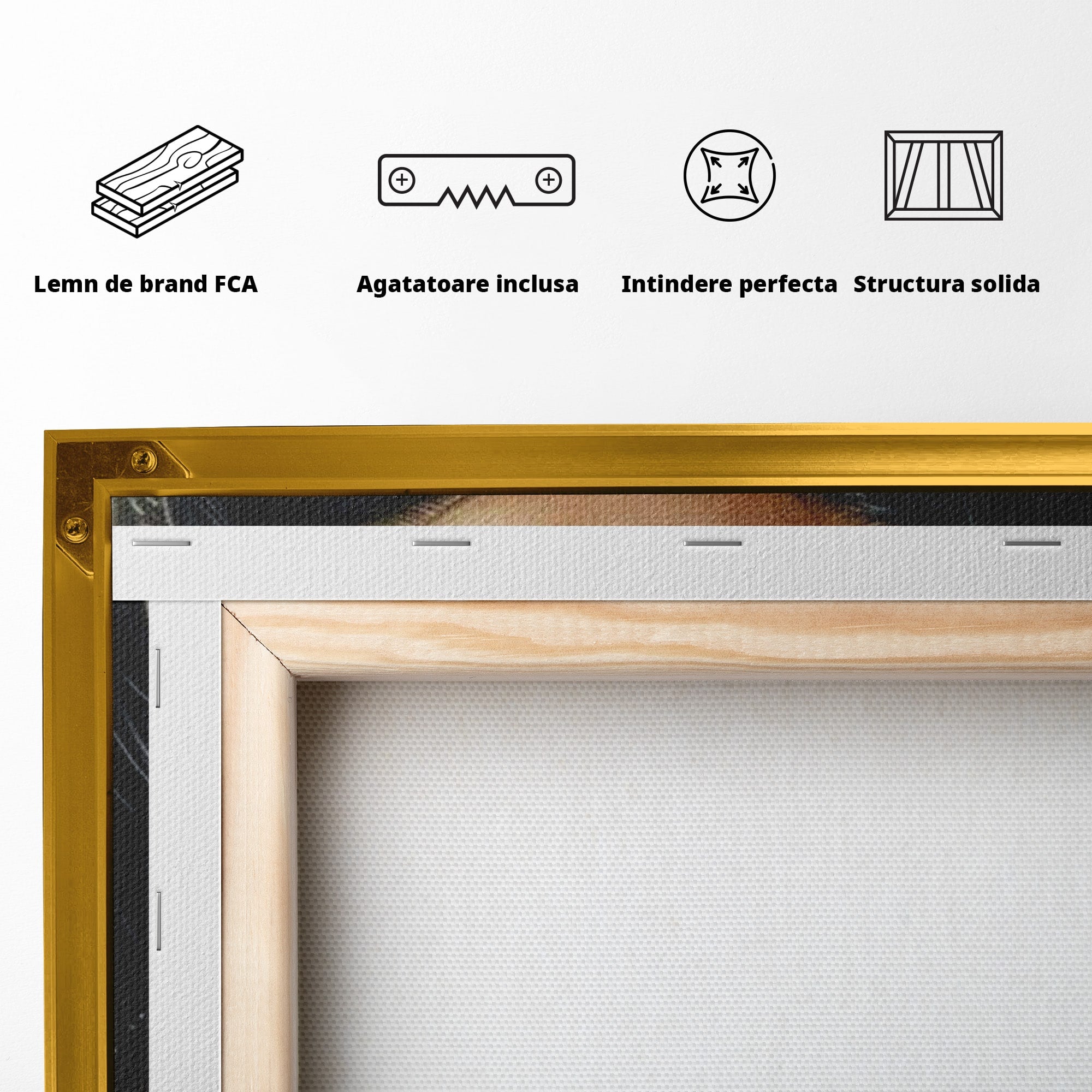 Tablou Canvas Premium LuxCanva® PI1319, Ochii Care Povestesc, Portret, Femeie, Mister, Privire, Culori Vibrante, Living, Dormitor