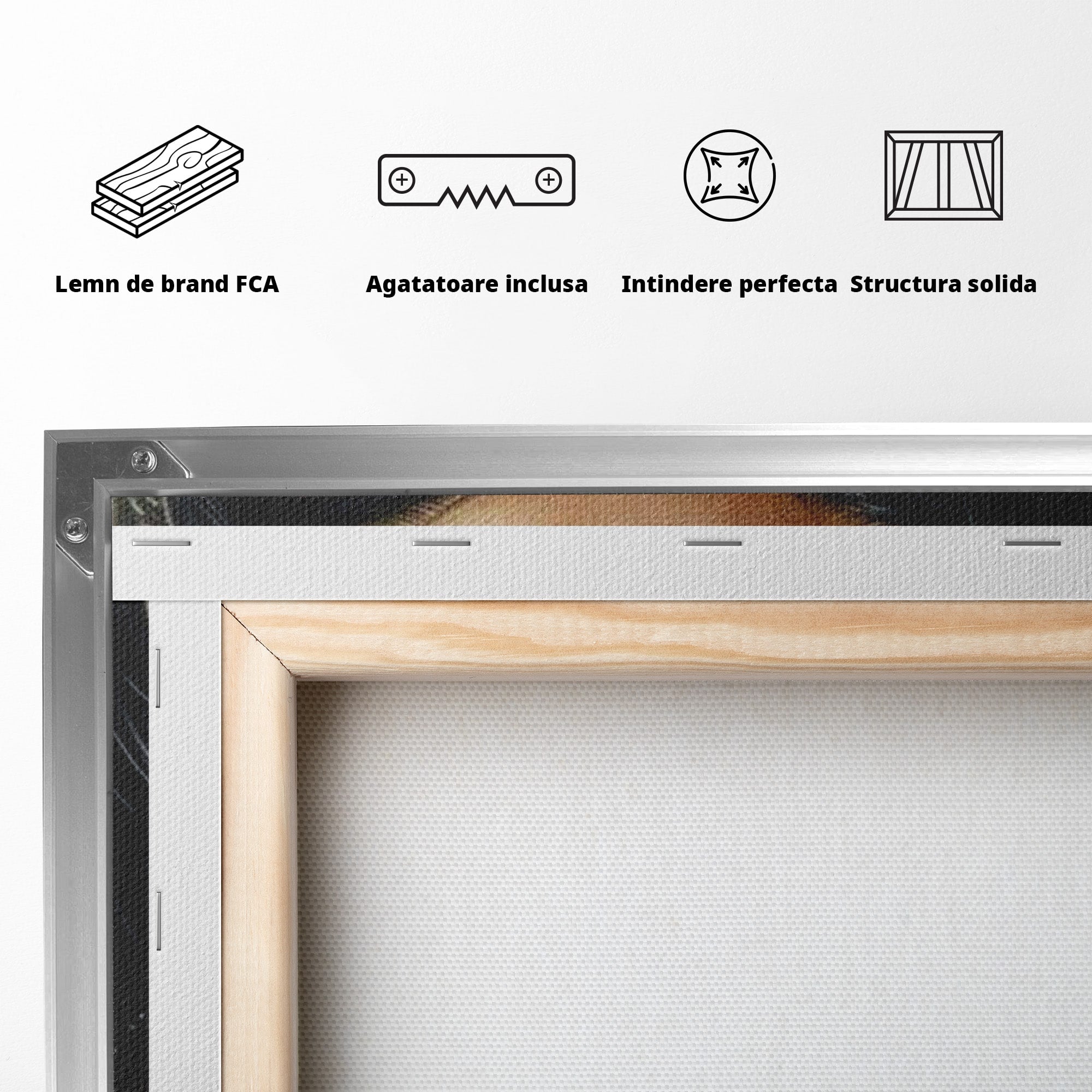 Tablou Canvas Premium LuxCanva® PI1319, Ochii Care Povestesc, Portret, Femeie, Mister, Privire, Culori Vibrante, Living, Dormitor