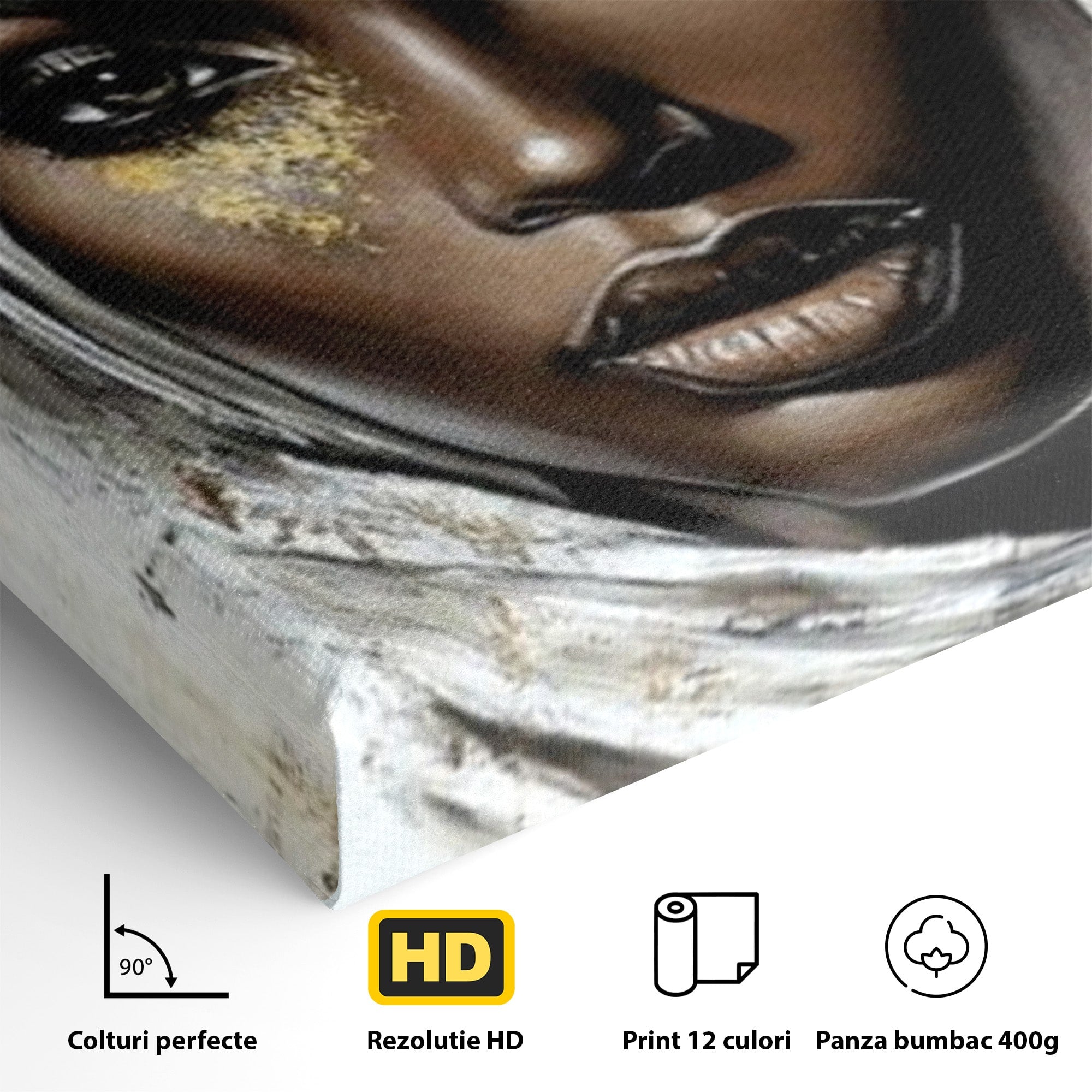 Tablou Canvas Premium LuxCanva® PI1321, Printesa Africii, Privire, Portret, Femeie, Traditional, Eleganta, Arta, Culori Vibrante, Living, Dormitor