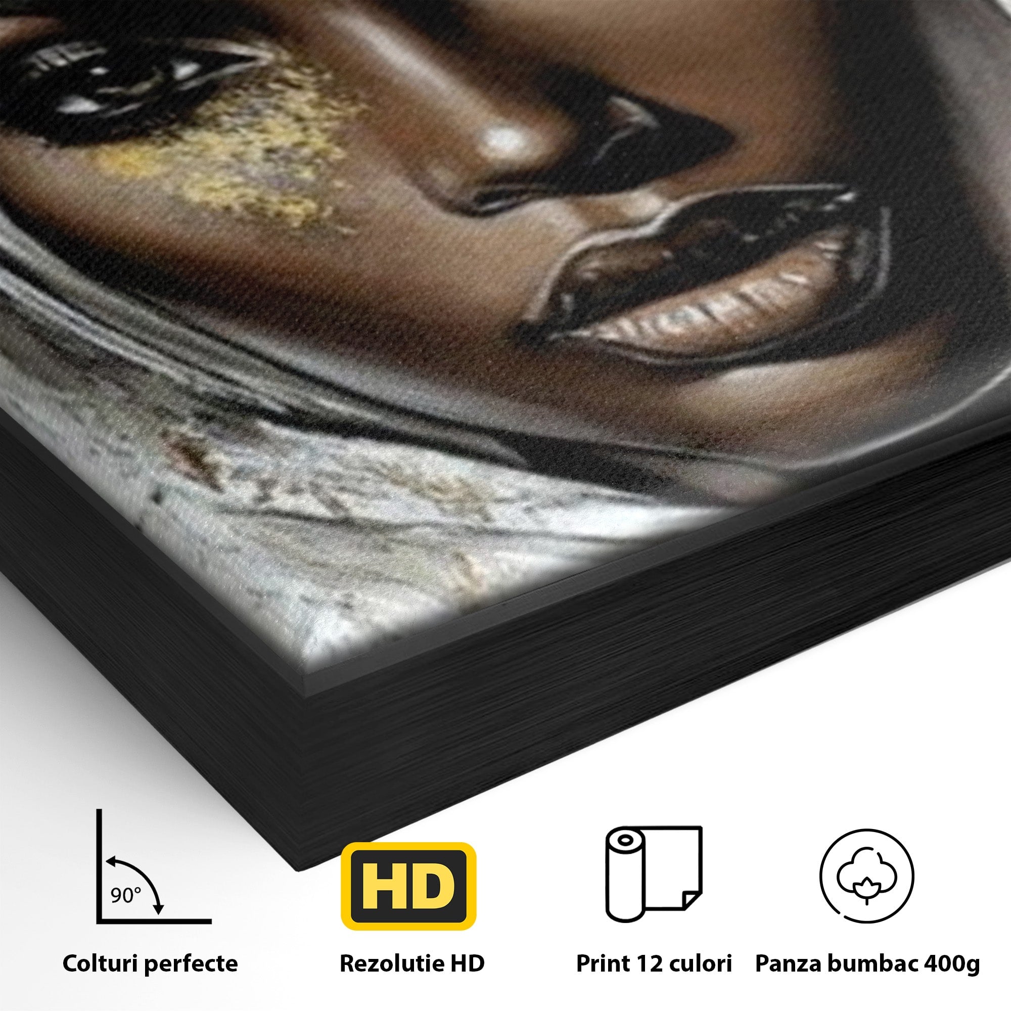 Tablou Canvas Premium LuxCanva® PI1321, Printesa Africii, Privire, Portret, Femeie, Traditional, Eleganta, Arta, Culori Vibrante, Living, Dormitor