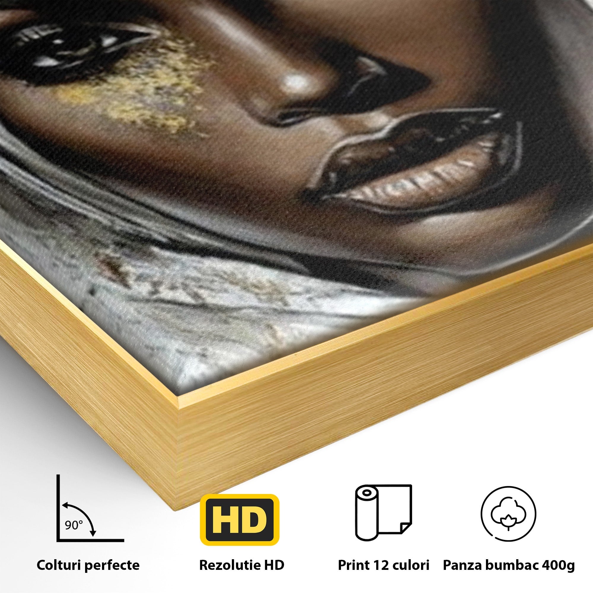 Tablou Canvas Premium LuxCanva® PI1321, Printesa Africii, Privire, Portret, Femeie, Traditional, Eleganta, Arta, Culori Vibrante, Living, Dormitor