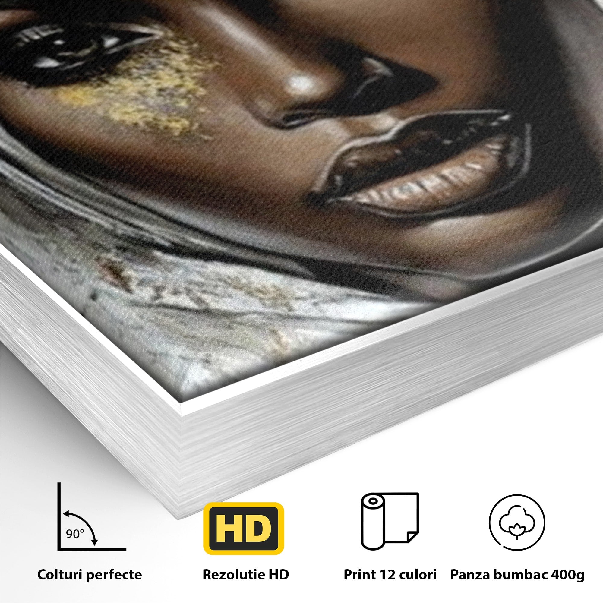 Tablou Canvas Premium LuxCanva® PI1321, Printesa Africii, Privire, Portret, Femeie, Traditional, Eleganta, Arta, Culori Vibrante, Living, Dormitor