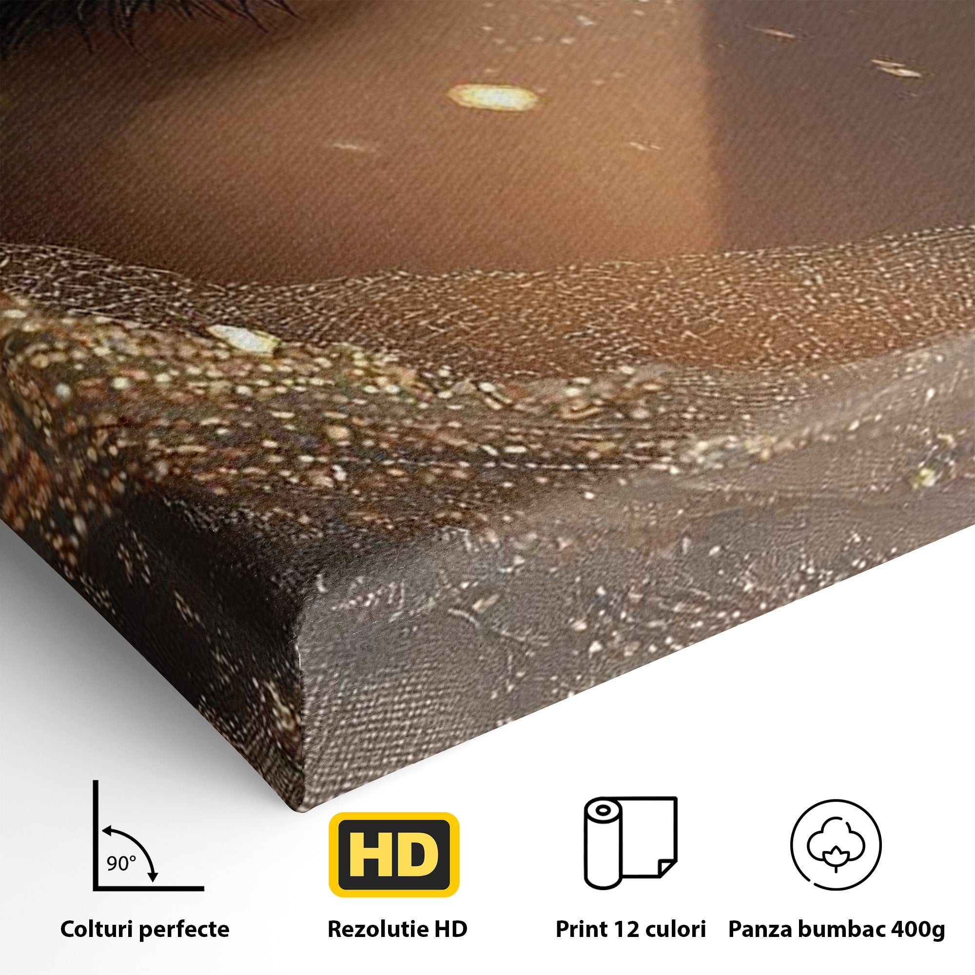 Tablou Canvas Premium LuxCanva® PI1349, Ochiul Invaluit In Aur, Femeie, Portret, Mister, Eleganta, Bijuterii, Culori Vibrante, Living, Dormitor