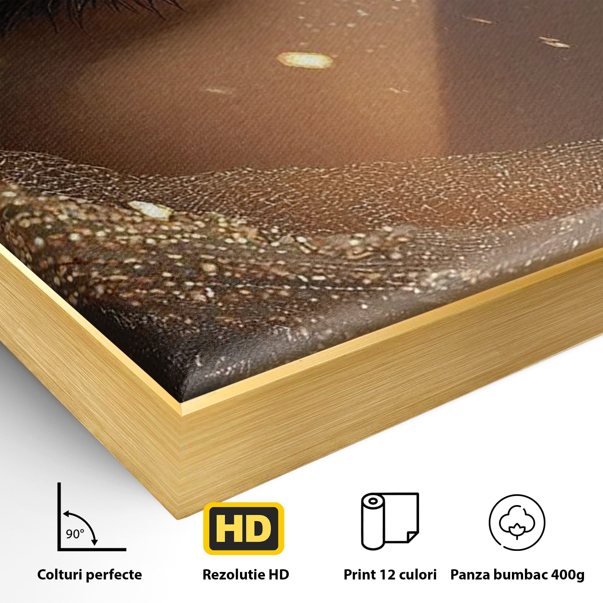 Tablou Canvas Premium LuxCanva® PI1349, Ochiul Invaluit In Aur, Femeie, Portret, Mister, Eleganta, Bijuterii, Culori Vibrante, Living, Dormitor