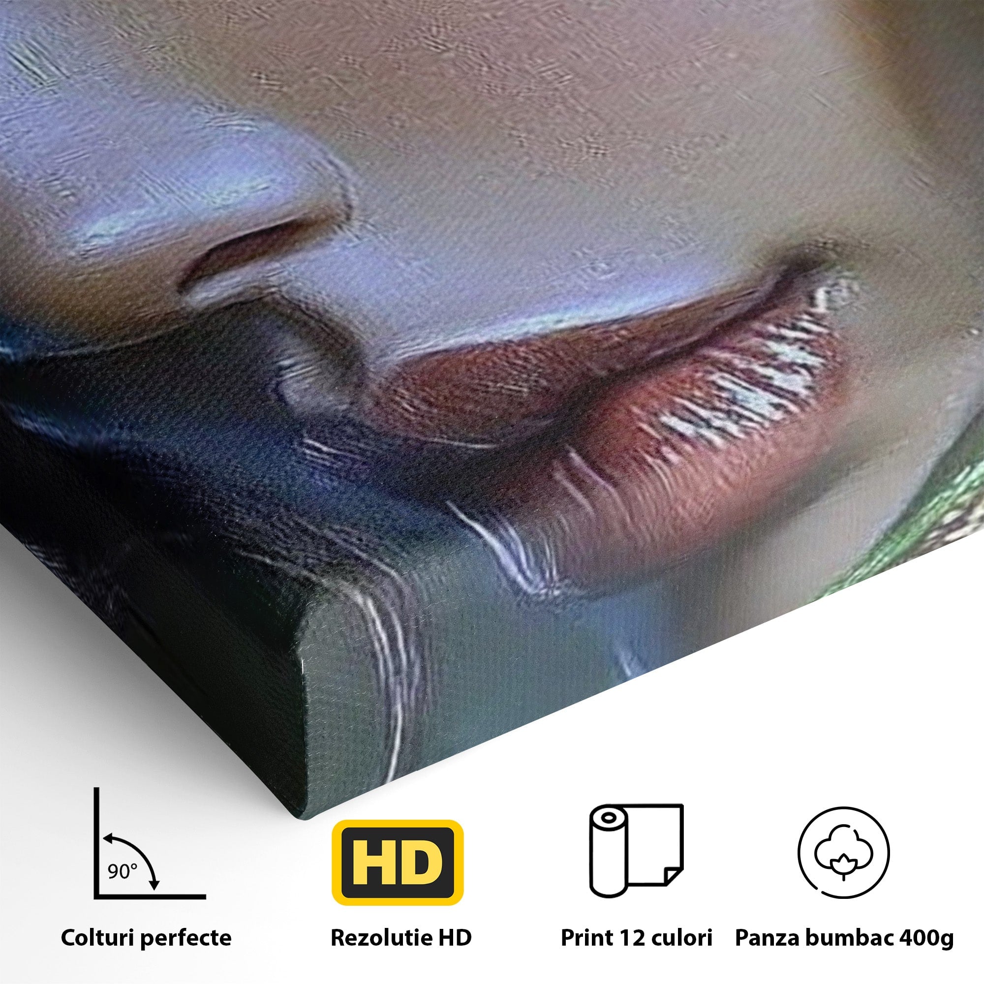 Tablou Canvas Premium LuxCanva® PI1350, Ochiul Fermecator, Portret, Femeie, Mister, Eleganta, Culori Vibrante, Living, Dormitor