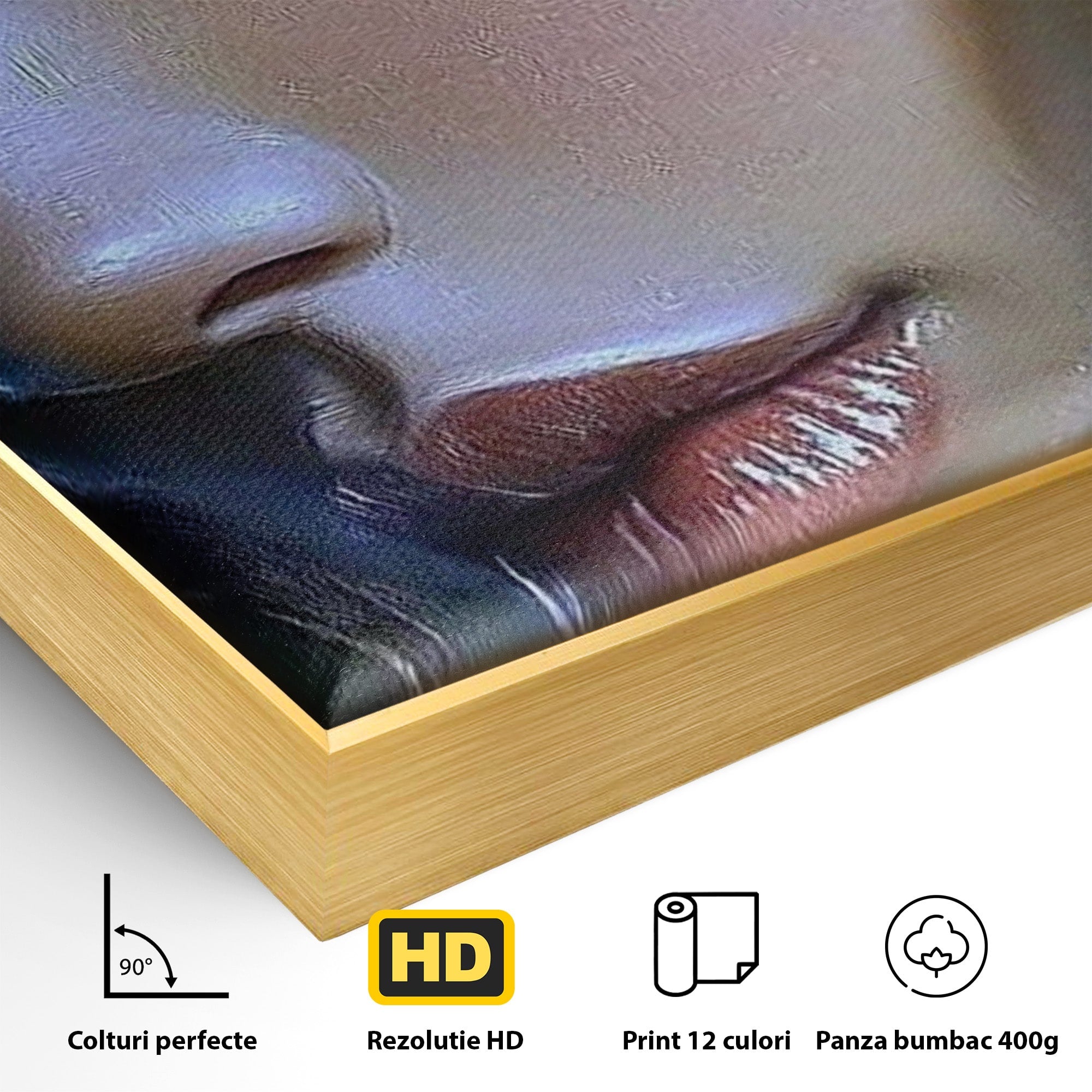 Tablou Canvas Premium LuxCanva® PI1350, Ochiul Fermecator, Portret, Femeie, Mister, Eleganta, Culori Vibrante, Living, Dormitor
