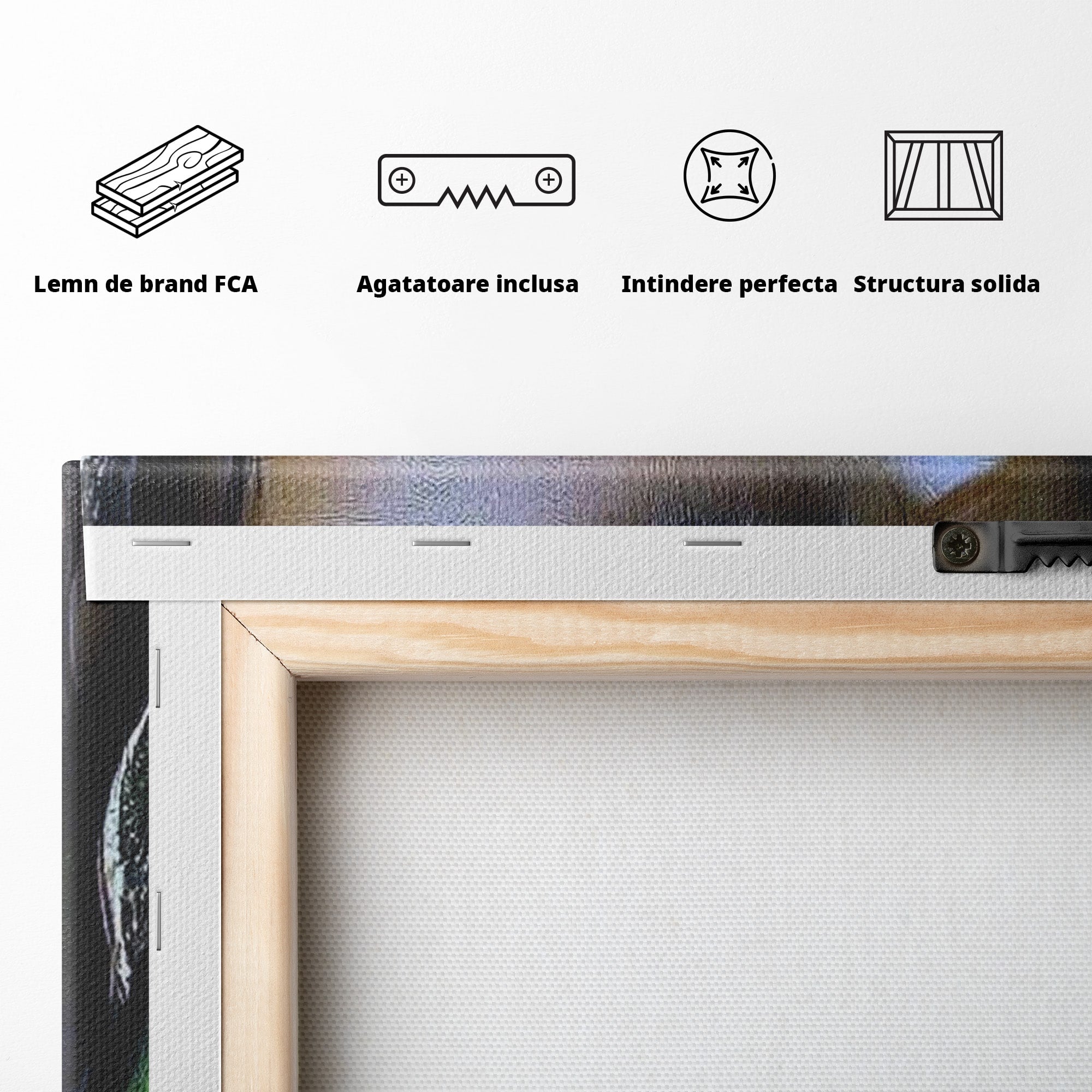 Tablou Canvas Premium LuxCanva® PI1350, Ochiul Fermecator, Portret, Femeie, Mister, Eleganta, Culori Vibrante, Living, Dormitor
