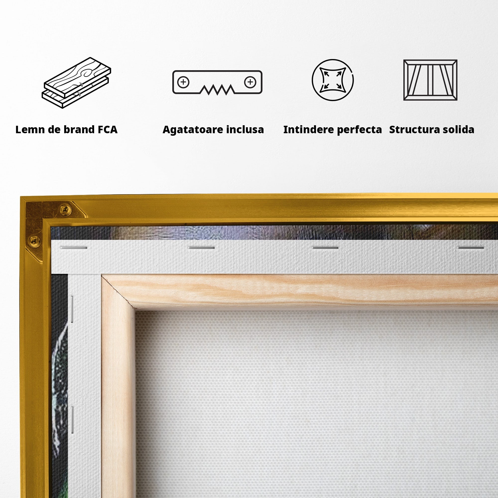 Tablou Canvas Premium LuxCanva® PI1350, Ochiul Fermecator, Portret, Femeie, Mister, Eleganta, Culori Vibrante, Living, Dormitor
