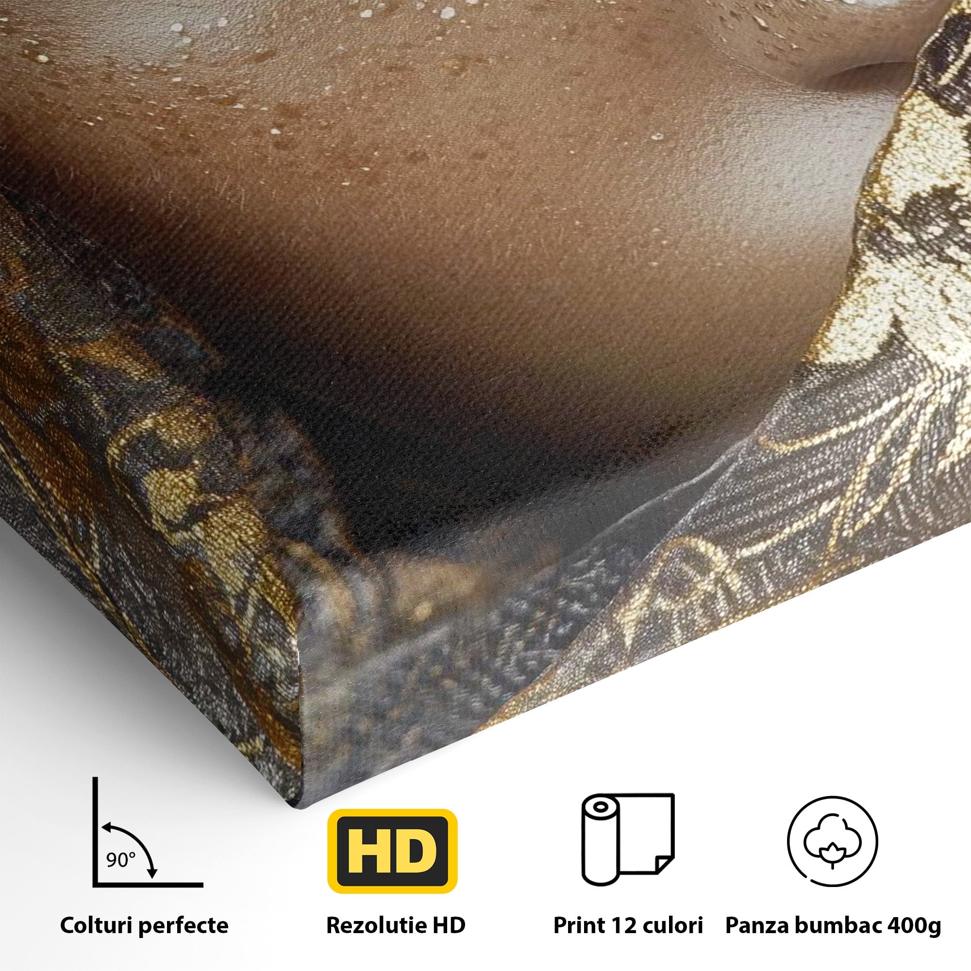 Tablou Canvas Premium LuxCanva® PI1351, Ochii Aurii, Portret, Femeie, Voal, Printesa, Culori Vibrante, Living, Dormitor, Salon