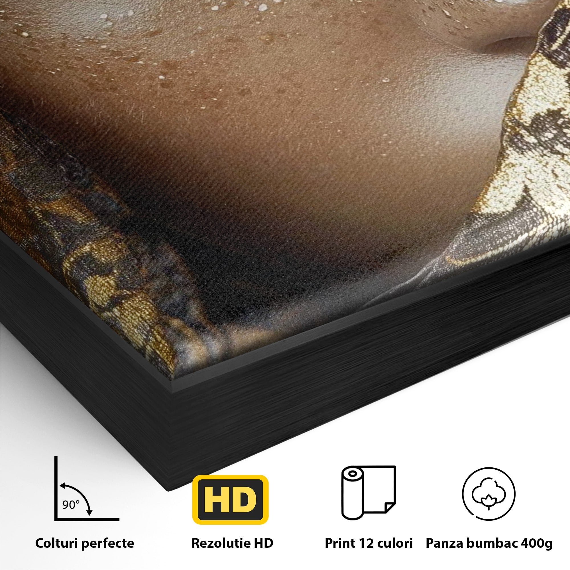Tablou Canvas Premium LuxCanva® PI1351, Ochii Aurii, Portret, Femeie, Voal, Printesa, Culori Vibrante, Living, Dormitor, Salon