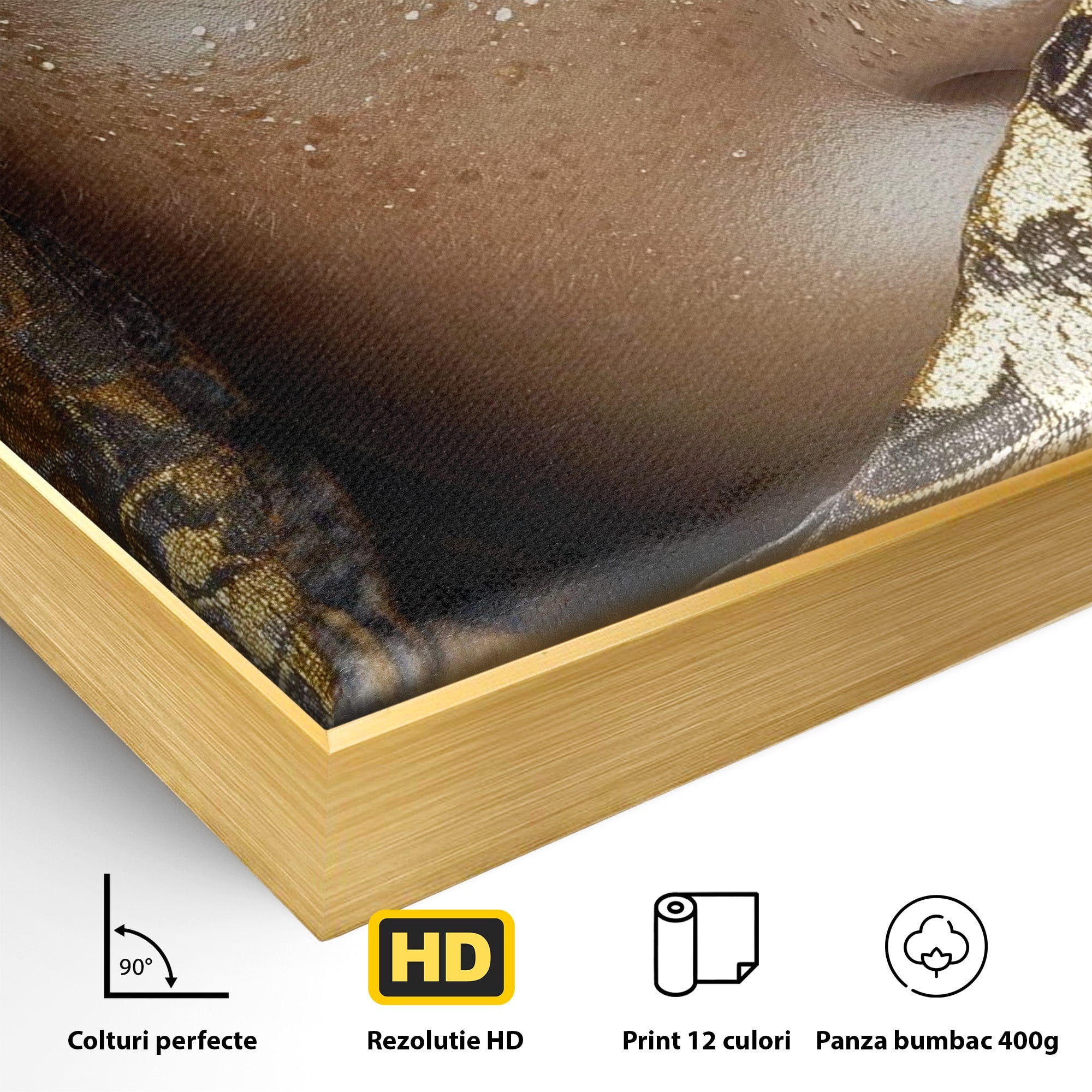 Tablou Canvas Premium LuxCanva® PI1351, Ochii Aurii, Portret, Femeie, Voal, Printesa, Culori Vibrante, Living, Dormitor, Salon