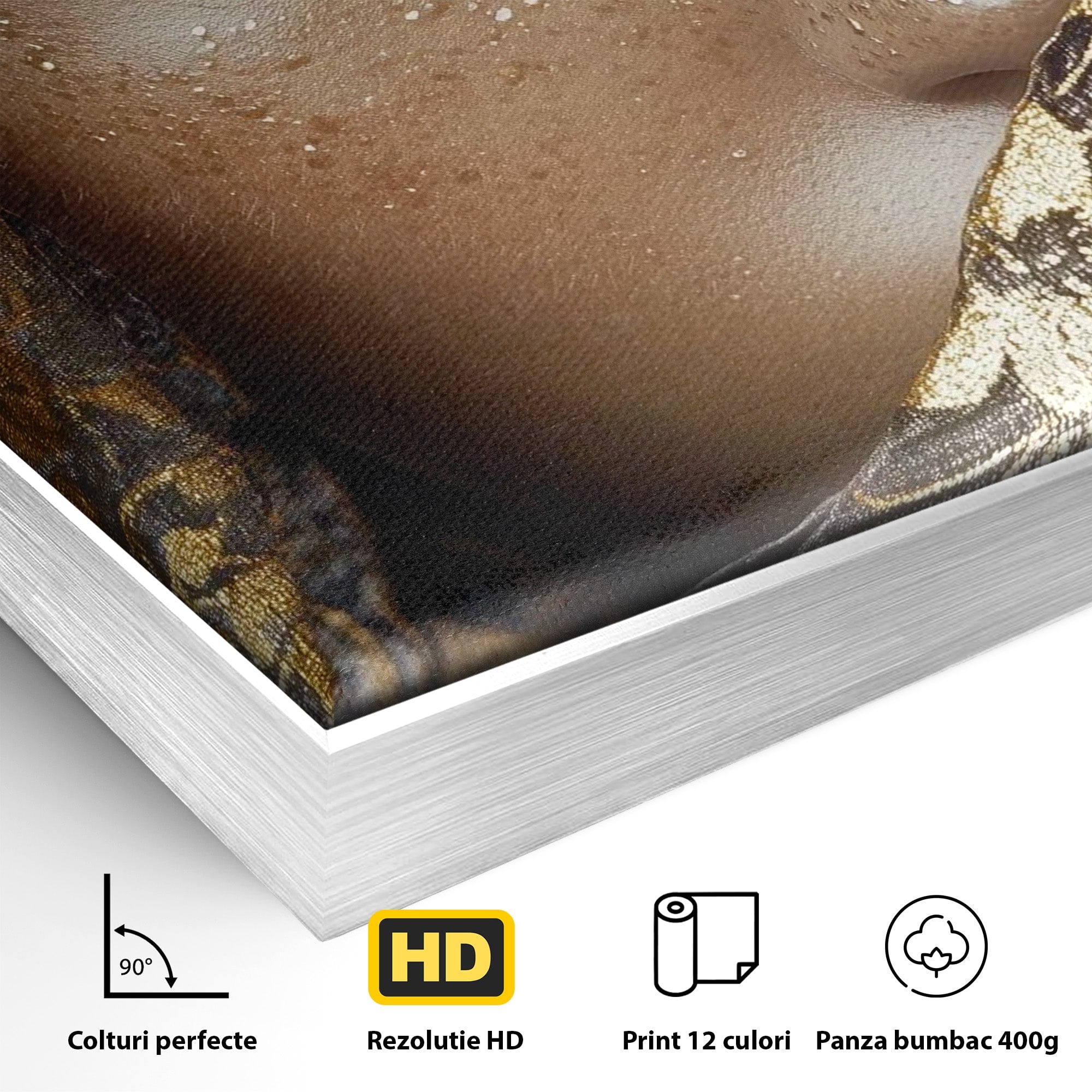 Tablou Canvas Premium LuxCanva® PI1351, Ochii Aurii, Portret, Femeie, Voal, Printesa, Culori Vibrante, Living, Dormitor, Salon