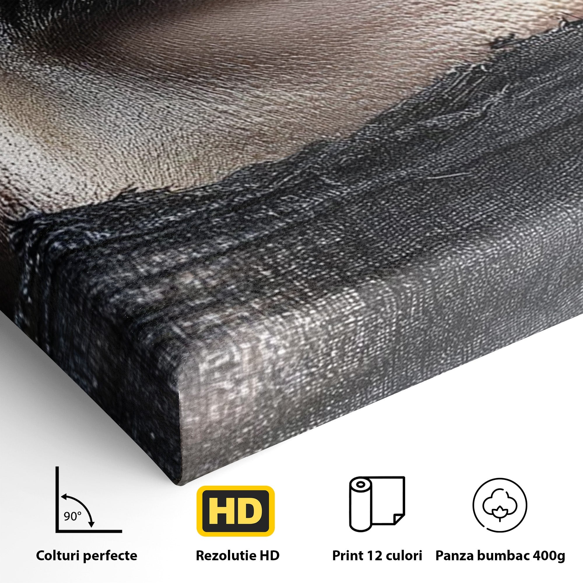 Tablou Canvas Premium LuxCanva® PI1352, Ochiul Enigmatic, Portret, Voal, Femeie, Ochi, Arta, Culori Vibrante, Living, Dormitor, Salon