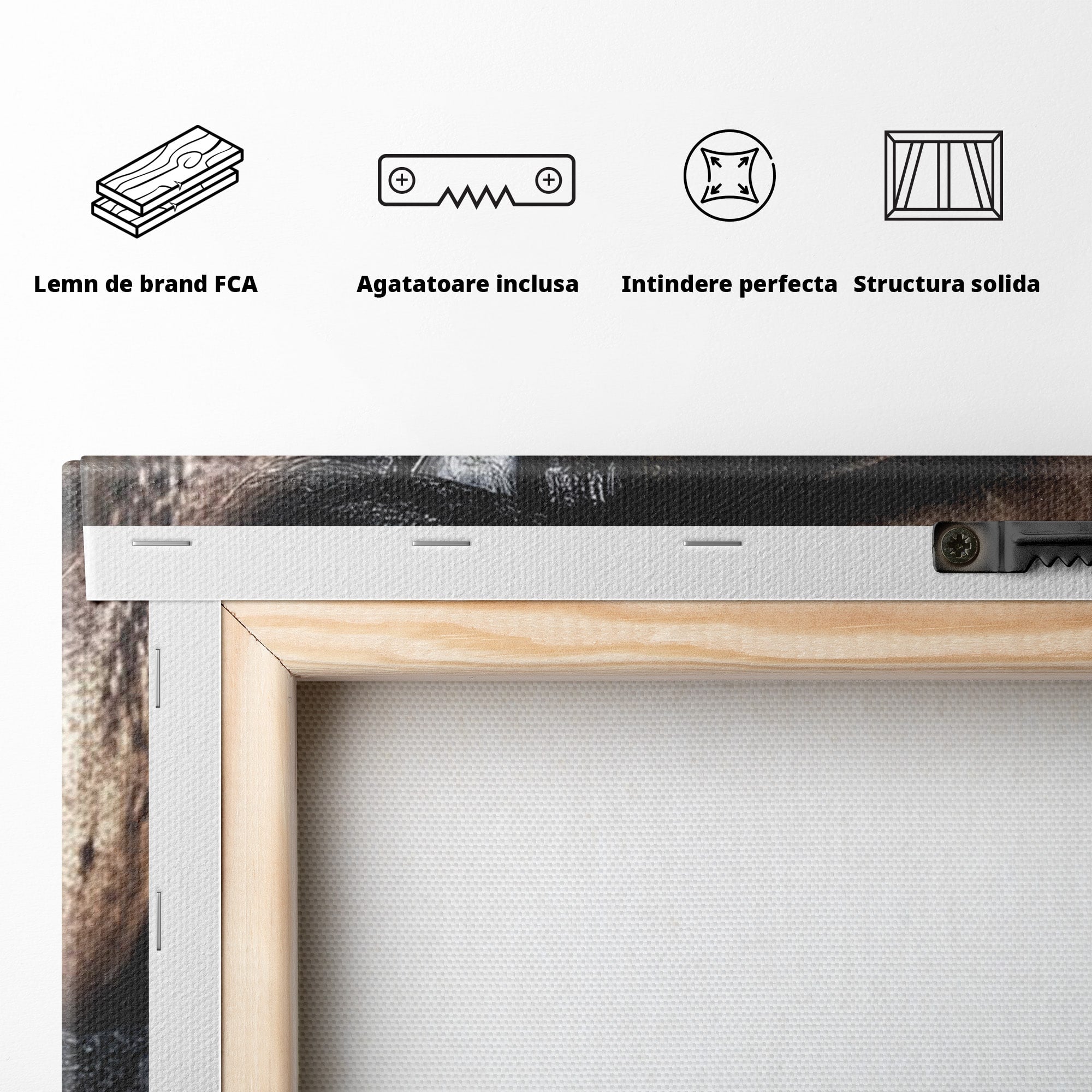 Tablou Canvas Premium LuxCanva® PI1352, Ochiul Enigmatic, Portret, Voal, Femeie, Ochi, Arta, Culori Vibrante, Living, Dormitor, Salon