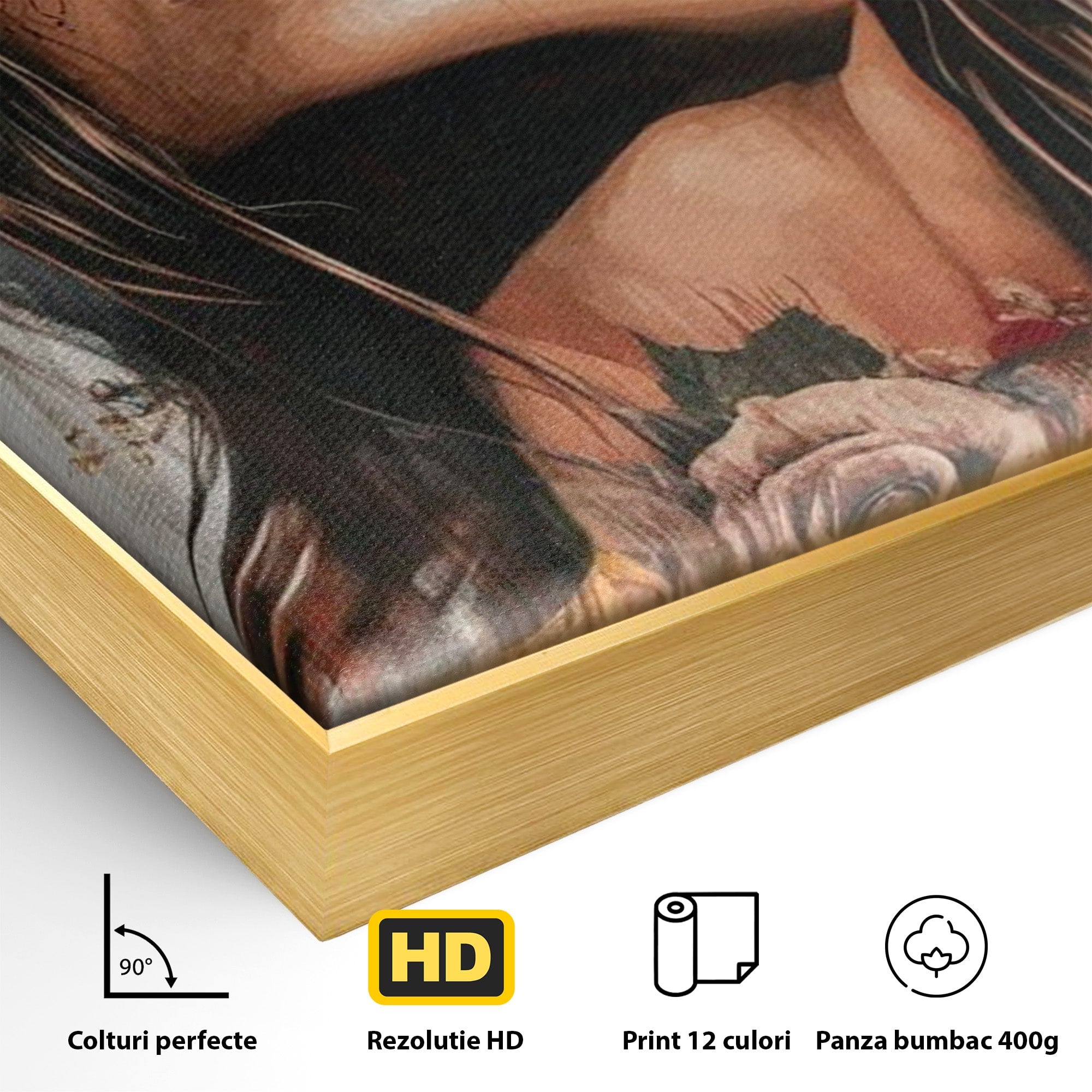 Tablou Canvas Premium LuxCanva® PI1355, Muza Boema, Floare, Feminitate, Coroana, Arta, Culori Vibrante, Living, Dormitor, Salon