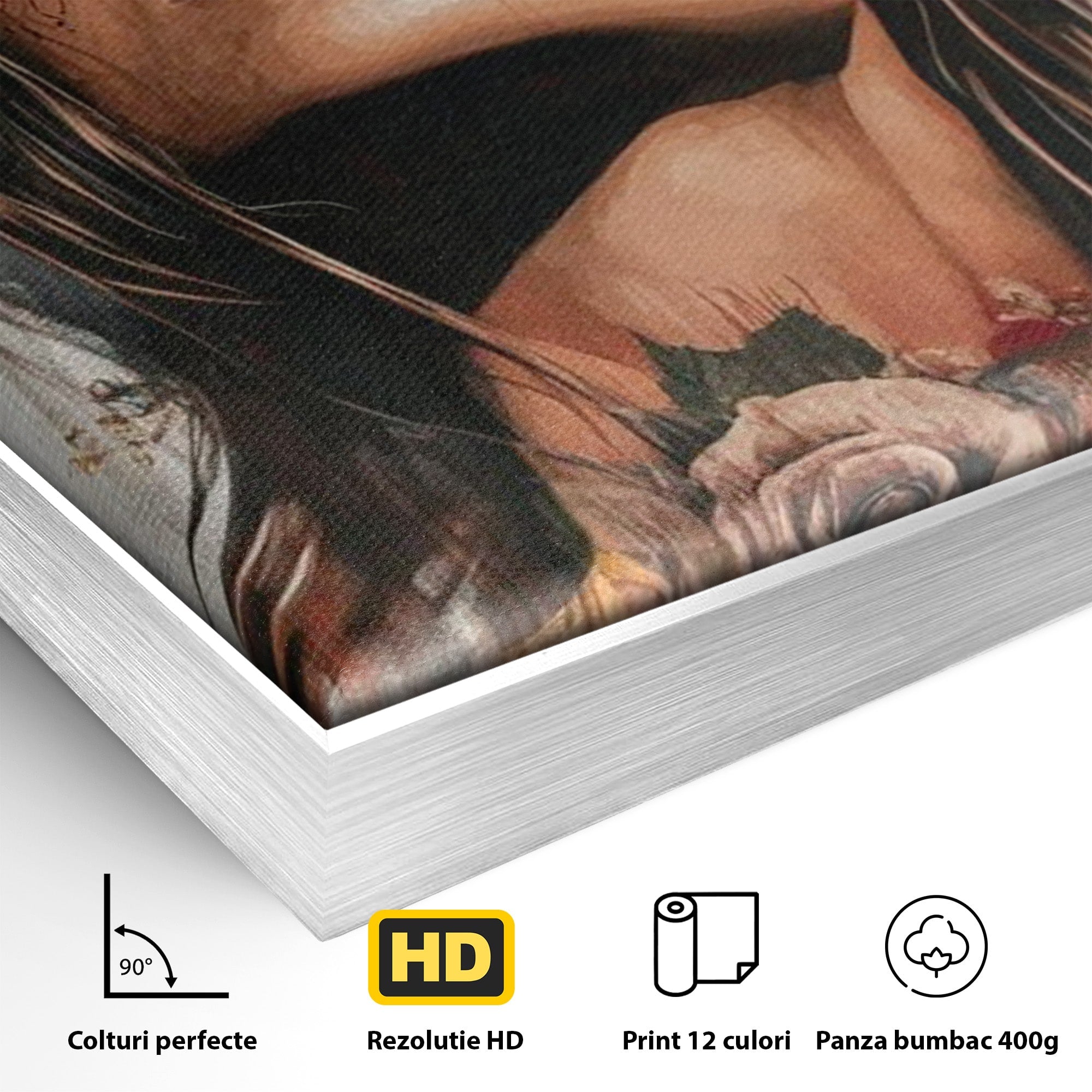 Tablou Canvas Premium LuxCanva® PI1355, Muza Boema, Floare, Feminitate, Coroana, Arta, Culori Vibrante, Living, Dormitor, Salon