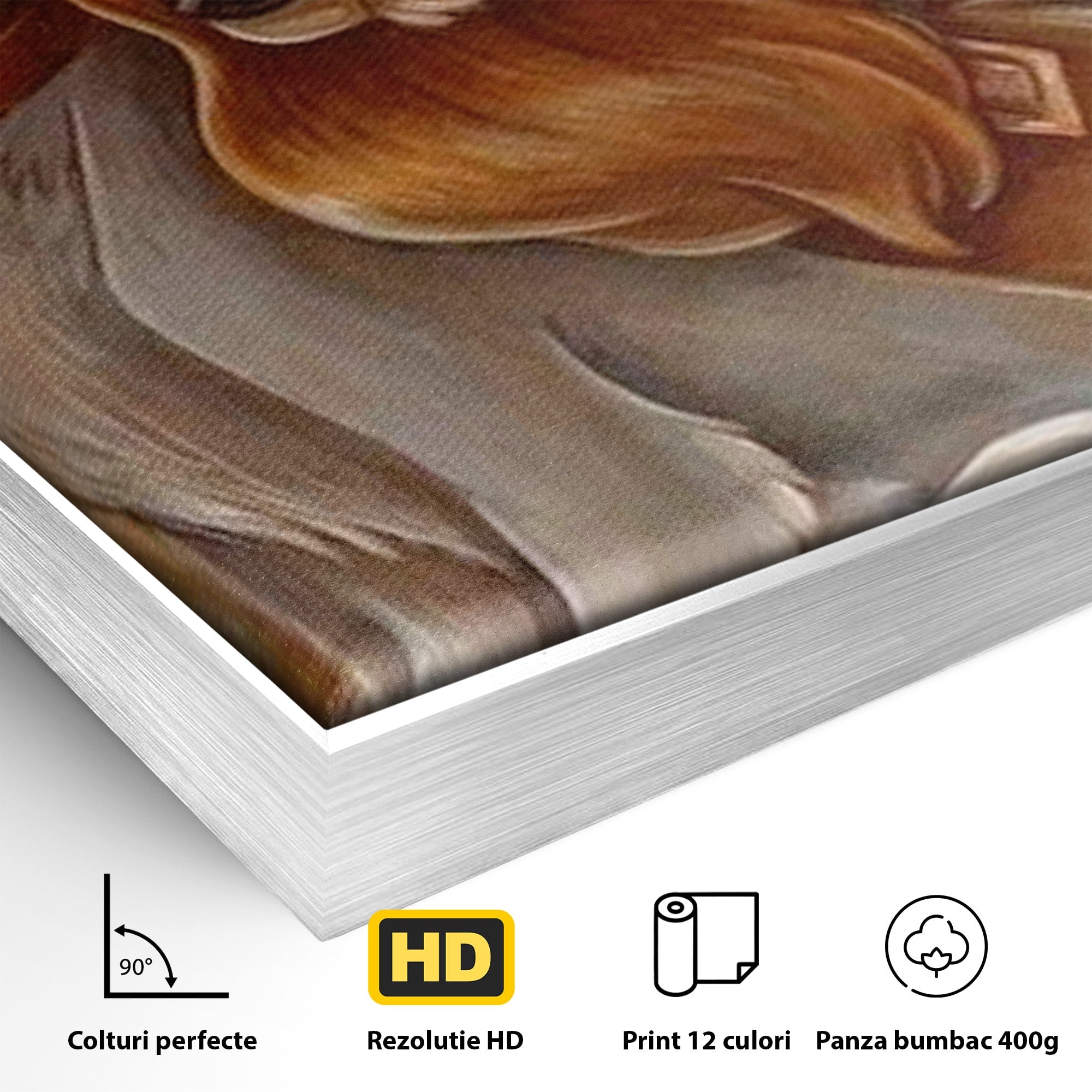 Tablou Canvas Premium LuxCanva® PI1360, Doamna si Vagabondul, Caini, Animatie, Disney, Iubire, Culori Vibrante, Living, Dormitor, Camera Copii