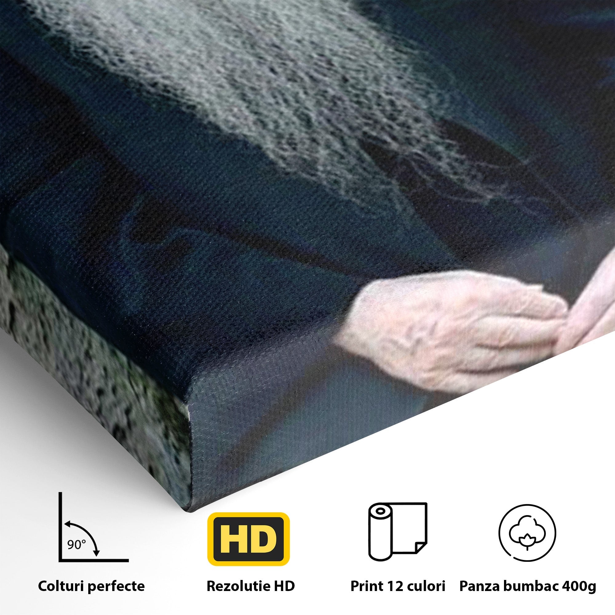 Tablou Canvas Premium LuxCanva® PI1368, Arsenie Papacioc, Calugar, Gradina, Spiritualitate, Portret, Culori Vibrante, Living, Dormitor