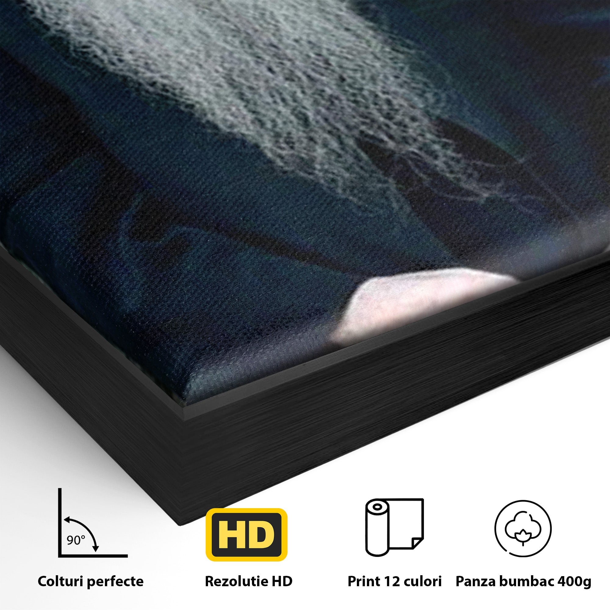 Tablou Canvas Premium LuxCanva® PI1368, Arsenie Papacioc, Calugar, Gradina, Spiritualitate, Portret, Culori Vibrante, Living, Dormitor