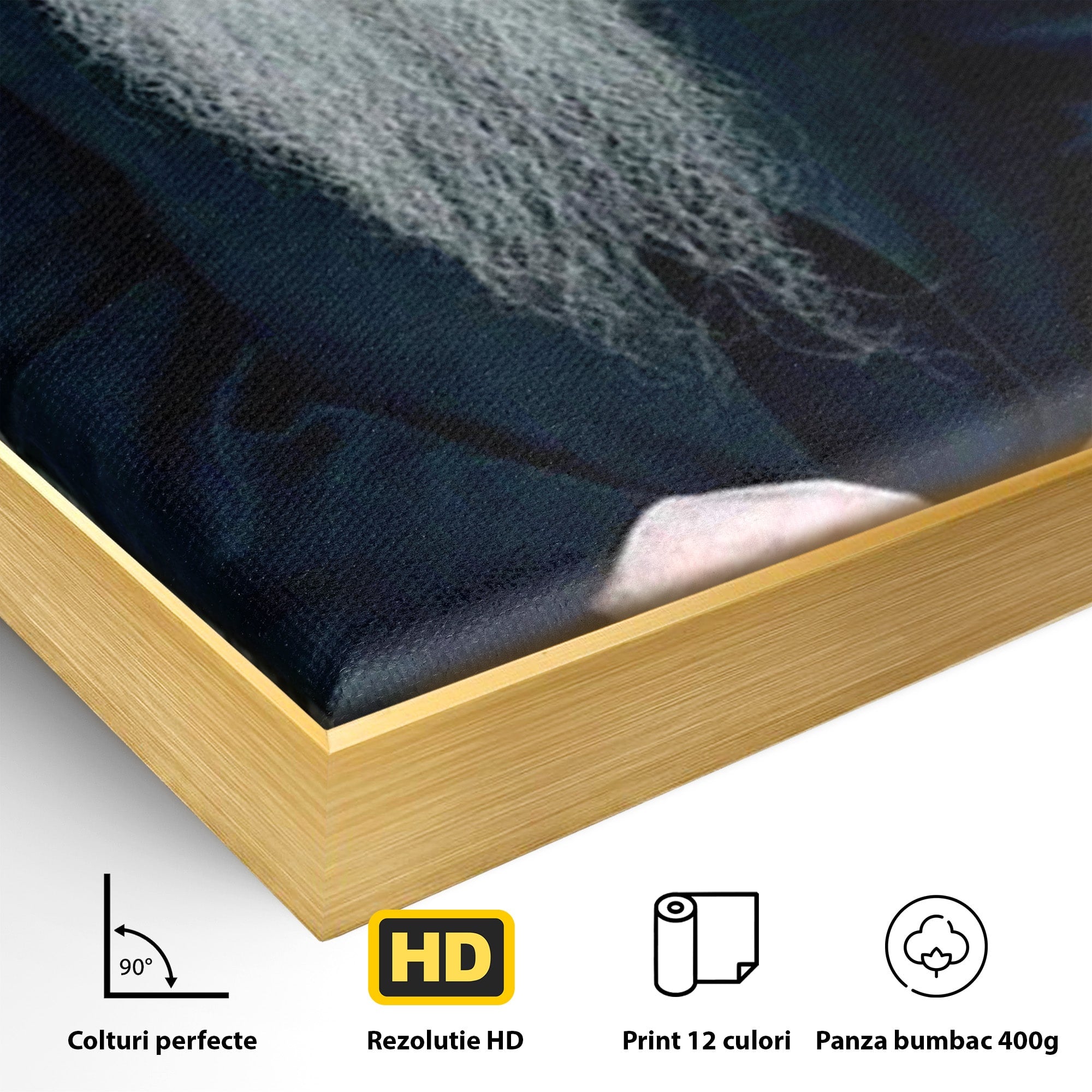 Tablou Canvas Premium LuxCanva® PI1368, Arsenie Papacioc, Calugar, Gradina, Spiritualitate, Portret, Culori Vibrante, Living, Dormitor