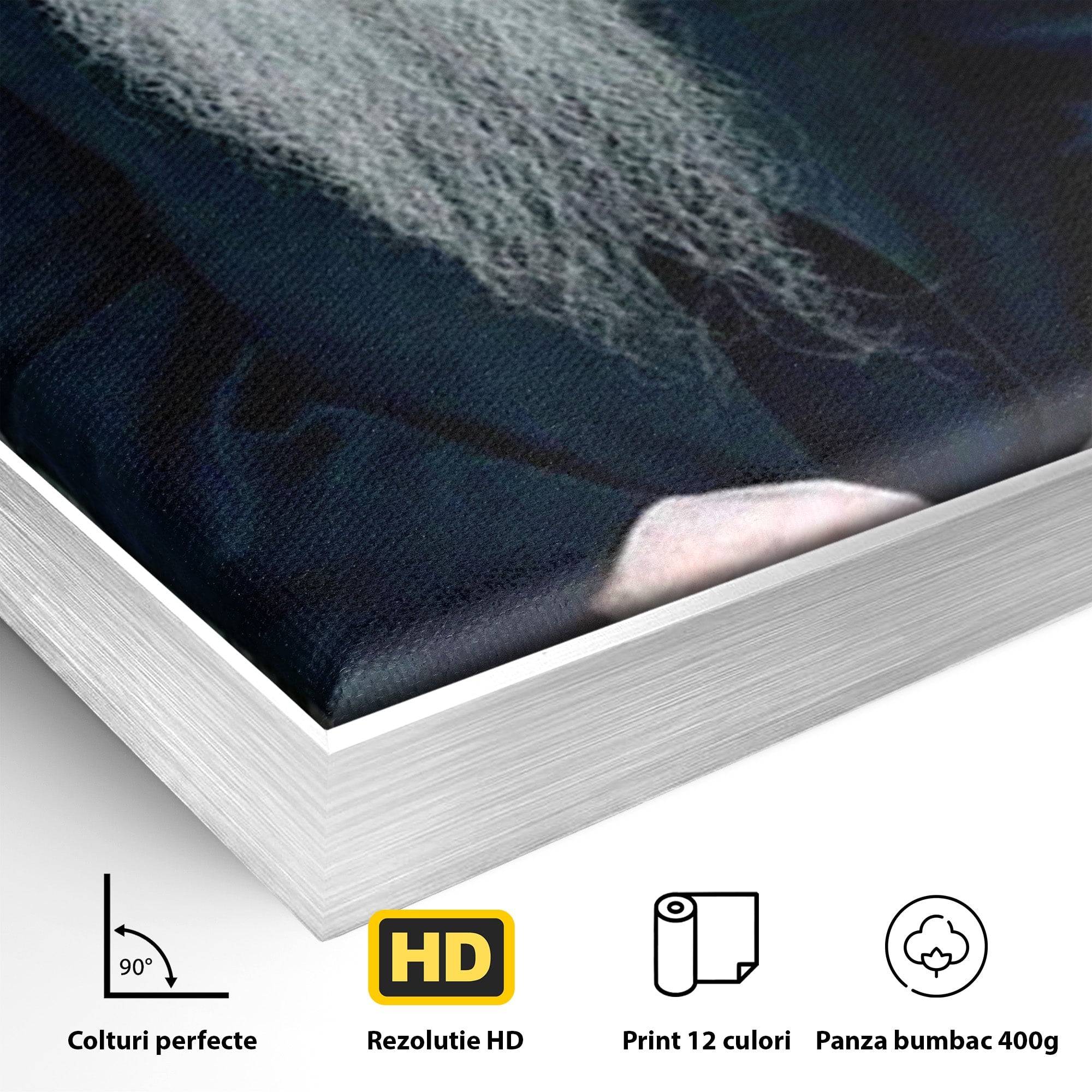 Tablou Canvas Premium LuxCanva® PI1368, Arsenie Papacioc, Calugar, Gradina, Spiritualitate, Portret, Culori Vibrante, Living, Dormitor
