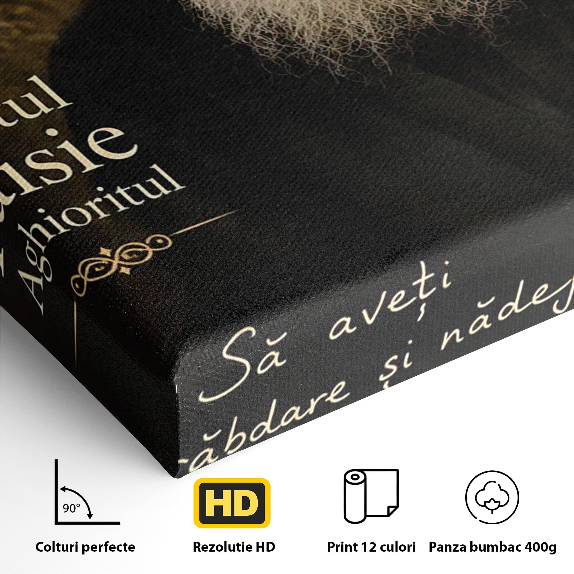Tablou Canvas Premium LuxCanva® PI1369, Sfântul Paisie Aghioritul, Religie, Portret, Spiritualitate, Credinta, Culori Vibrante, Living, Dormitor, Salon