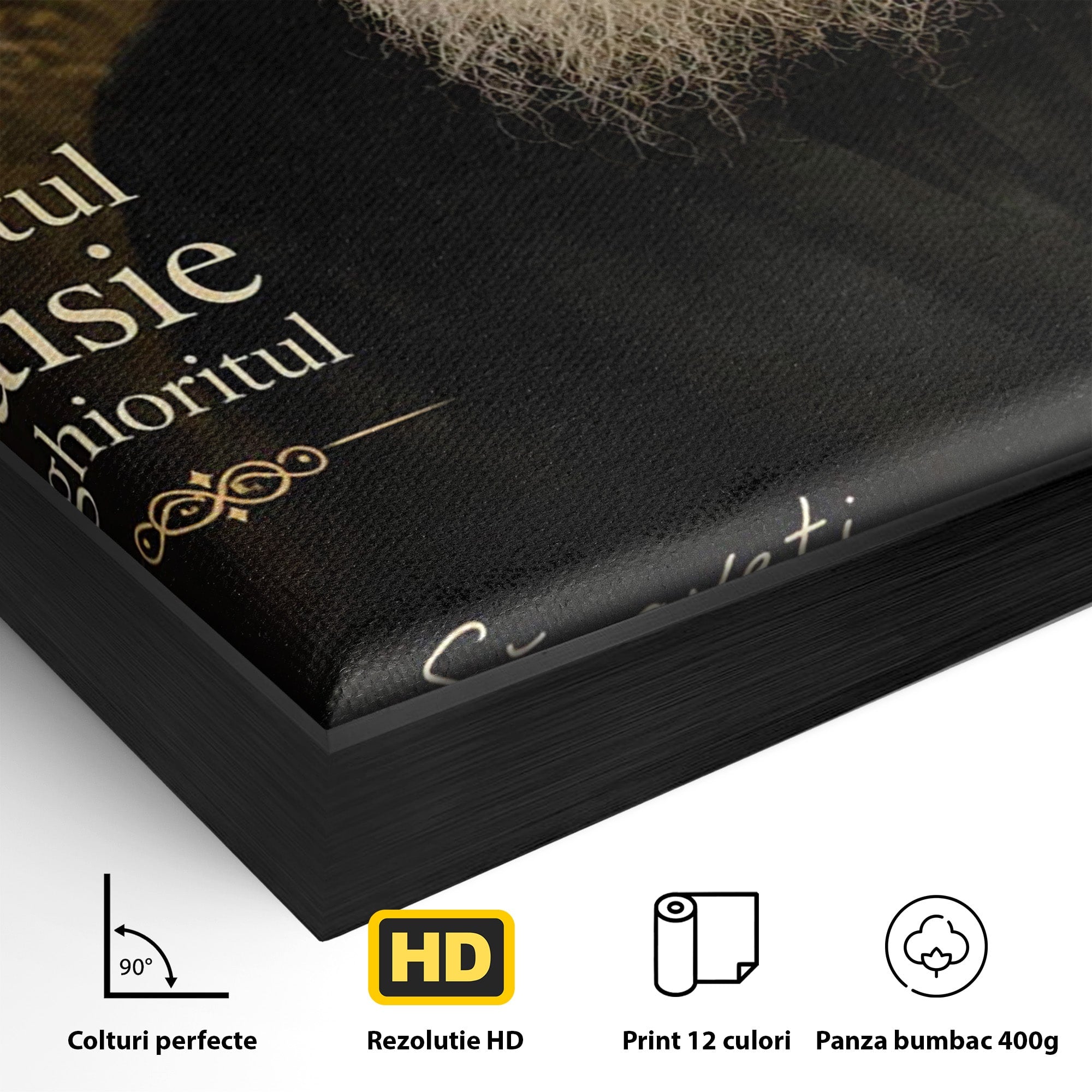 Tablou Canvas Premium LuxCanva® PI1369, Sfântul Paisie Aghioritul, Religie, Portret, Spiritualitate, Credinta, Culori Vibrante, Living, Dormitor, Salon