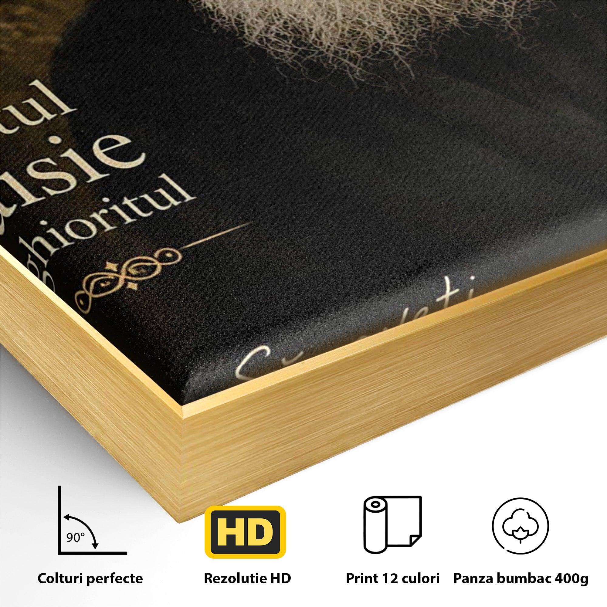 Tablou Canvas Premium LuxCanva® PI1369, Sfântul Paisie Aghioritul, Religie, Portret, Spiritualitate, Credinta, Culori Vibrante, Living, Dormitor, Salon