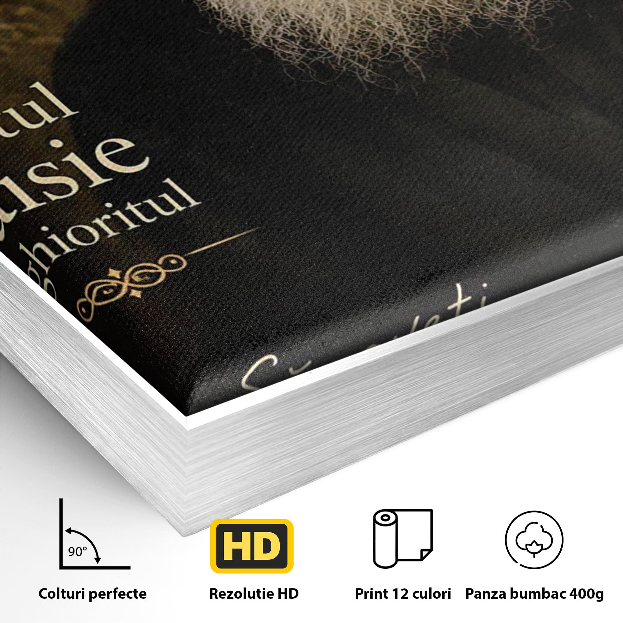 Tablou Canvas Premium LuxCanva® PI1369, Sfântul Paisie Aghioritul, Religie, Portret, Spiritualitate, Credinta, Culori Vibrante, Living, Dormitor, Salon