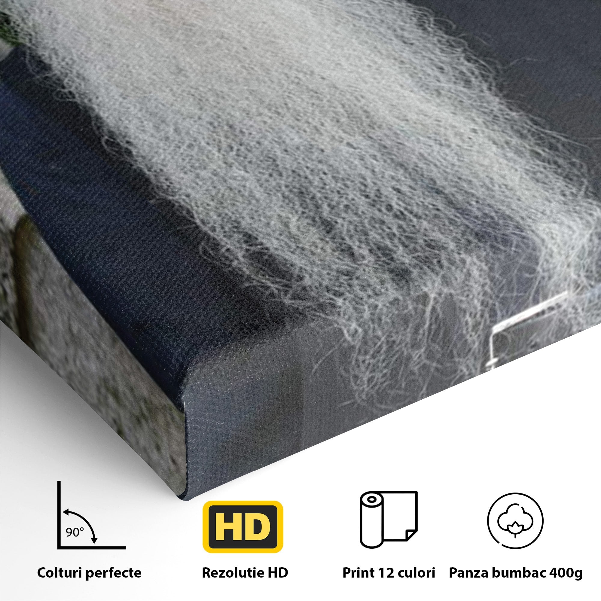 Tablou Canvas Premium LuxCanva® PI1370, Arhimandritul Arsenie Papacioc, Sfant, Ortodox, Religie, Spiritualitate, Credinta, Culori Vibrante, Living, Dormitor