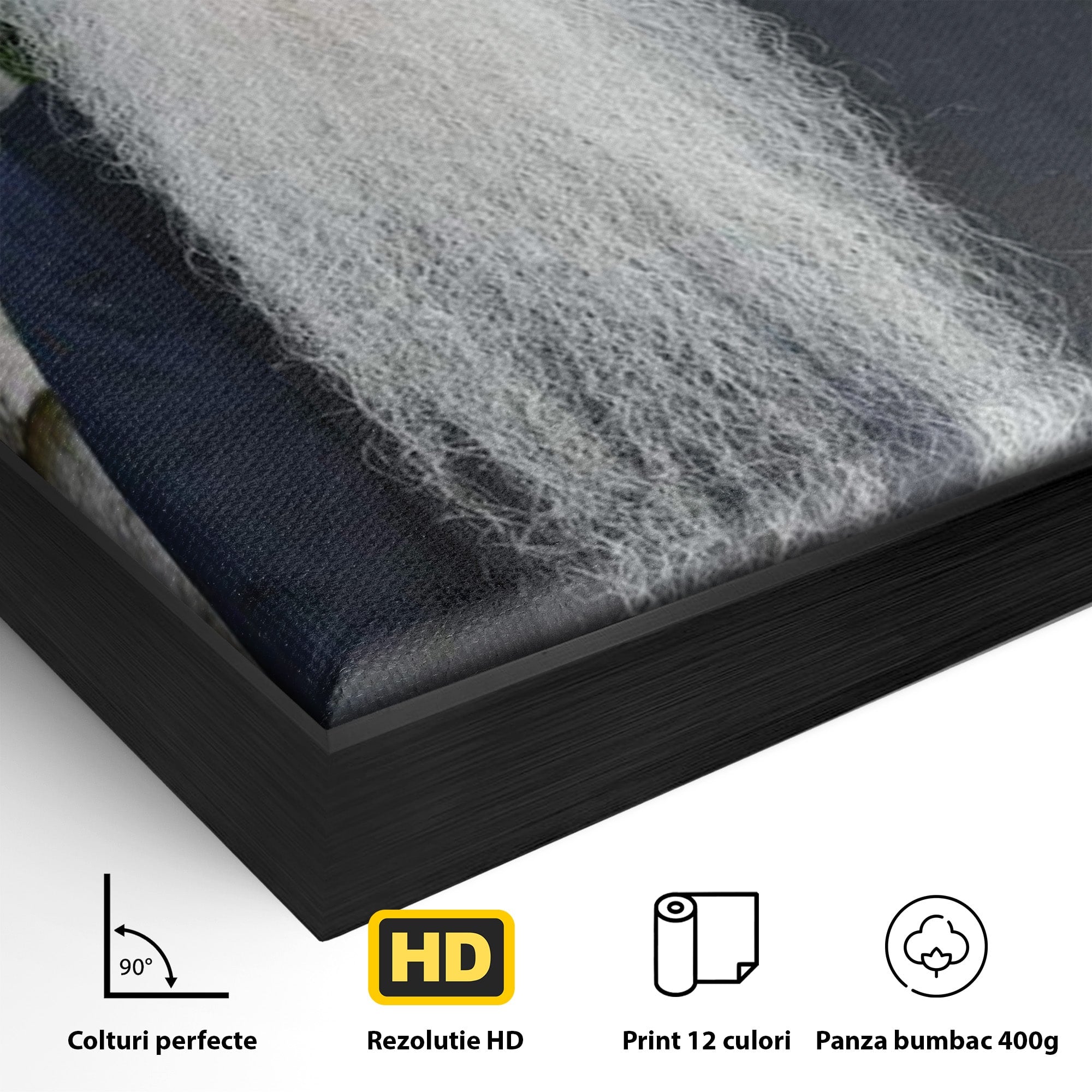 Tablou Canvas Premium LuxCanva® PI1370, Arhimandritul Arsenie Papacioc, Sfant, Ortodox, Religie, Spiritualitate, Credinta, Culori Vibrante, Living, Dormitor