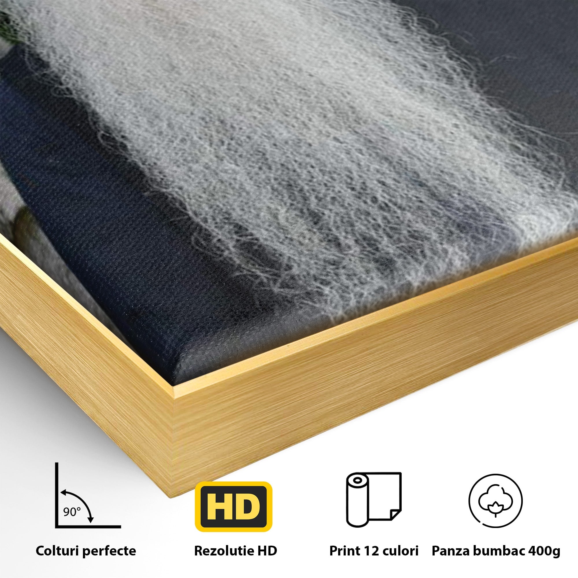 Tablou Canvas Premium LuxCanva® PI1370, Arhimandritul Arsenie Papacioc, Sfant, Ortodox, Religie, Spiritualitate, Credinta, Culori Vibrante, Living, Dormitor