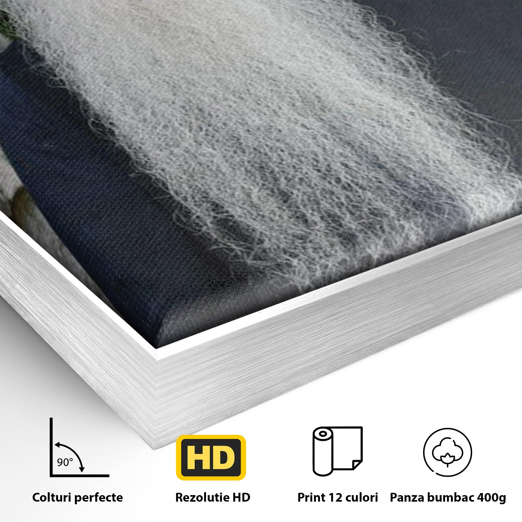 Tablou Canvas Premium LuxCanva® PI1370, Arhimandritul Arsenie Papacioc, Sfant, Ortodox, Religie, Spiritualitate, Credinta, Culori Vibrante, Living, Dormitor