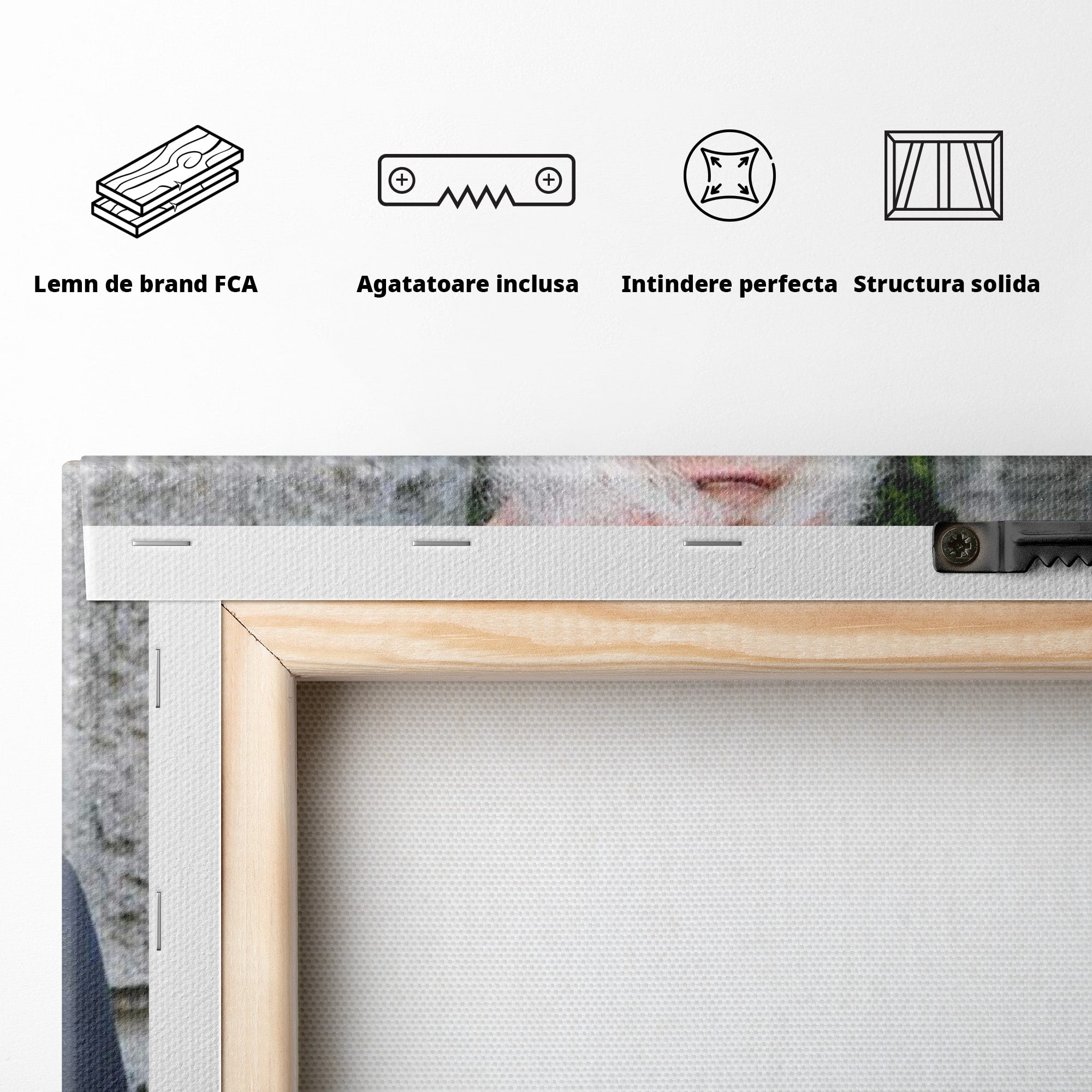 Tablou Canvas Premium LuxCanva® PI1370, Arhimandritul Arsenie Papacioc, Sfant, Ortodox, Religie, Spiritualitate, Credinta, Culori Vibrante, Living, Dormitor